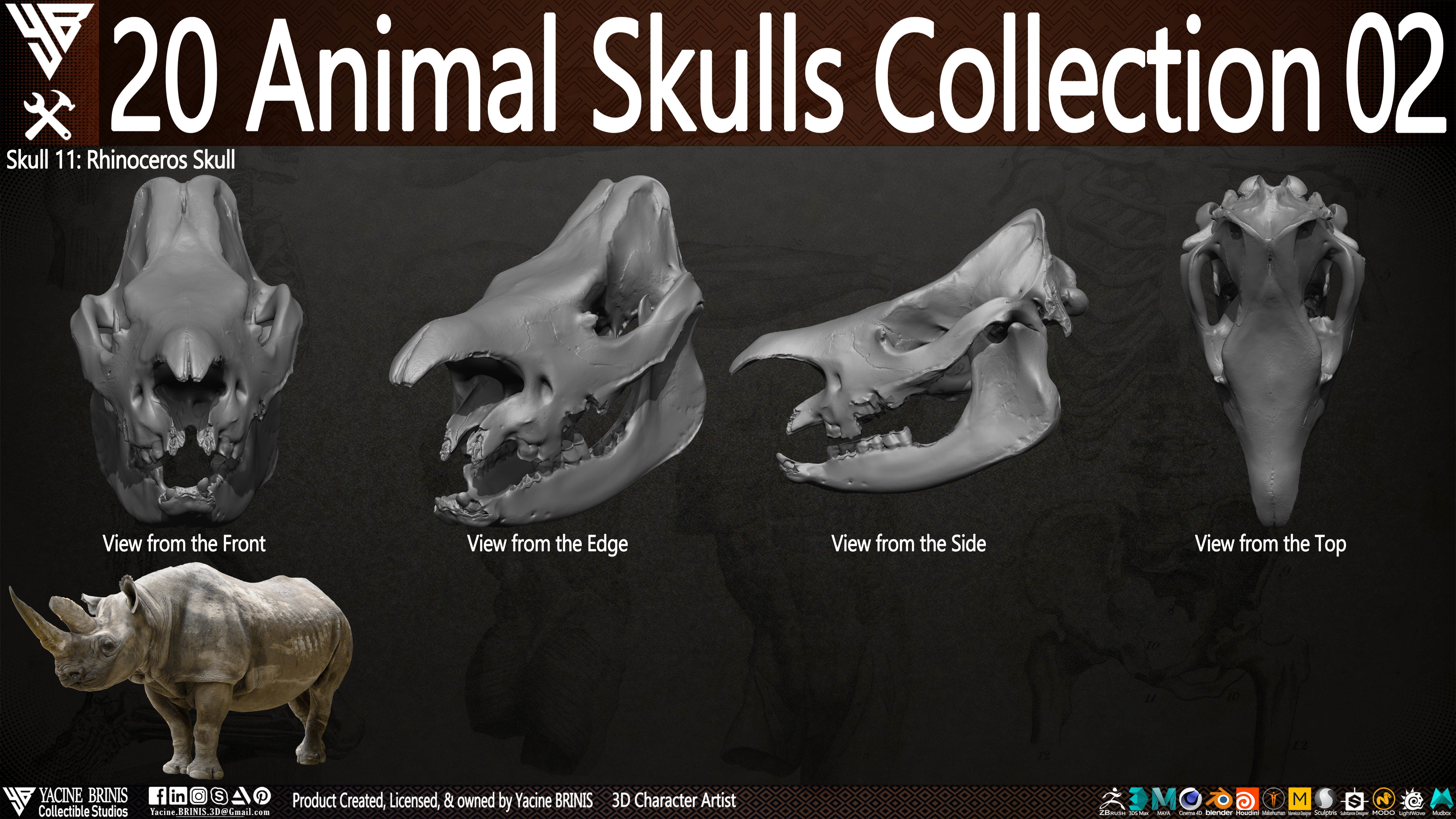 20 Animal Skulls Collection 02 Low-poly 3D model_19