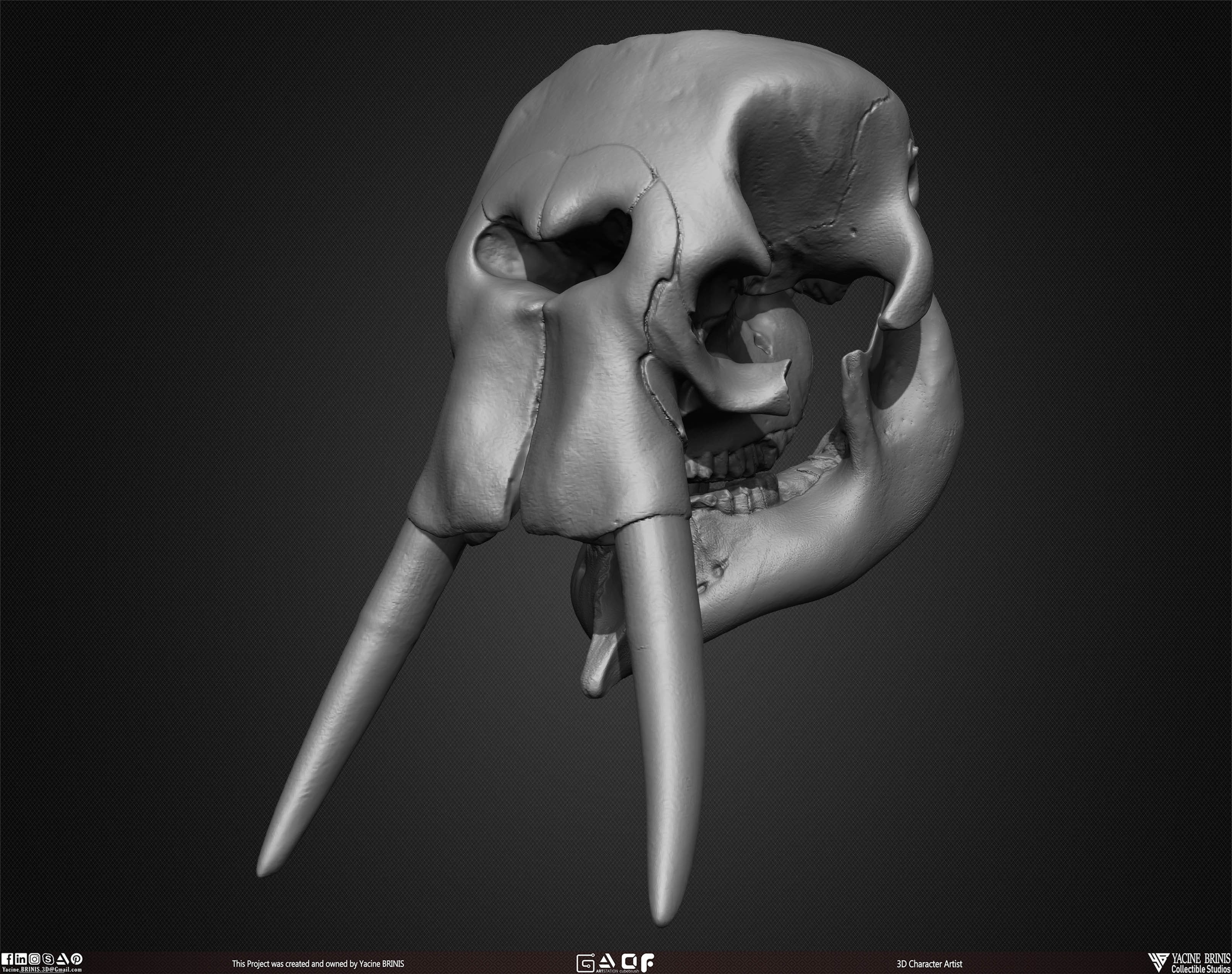 20 Animal Skulls Collection 02 Low-poly 3D model_39