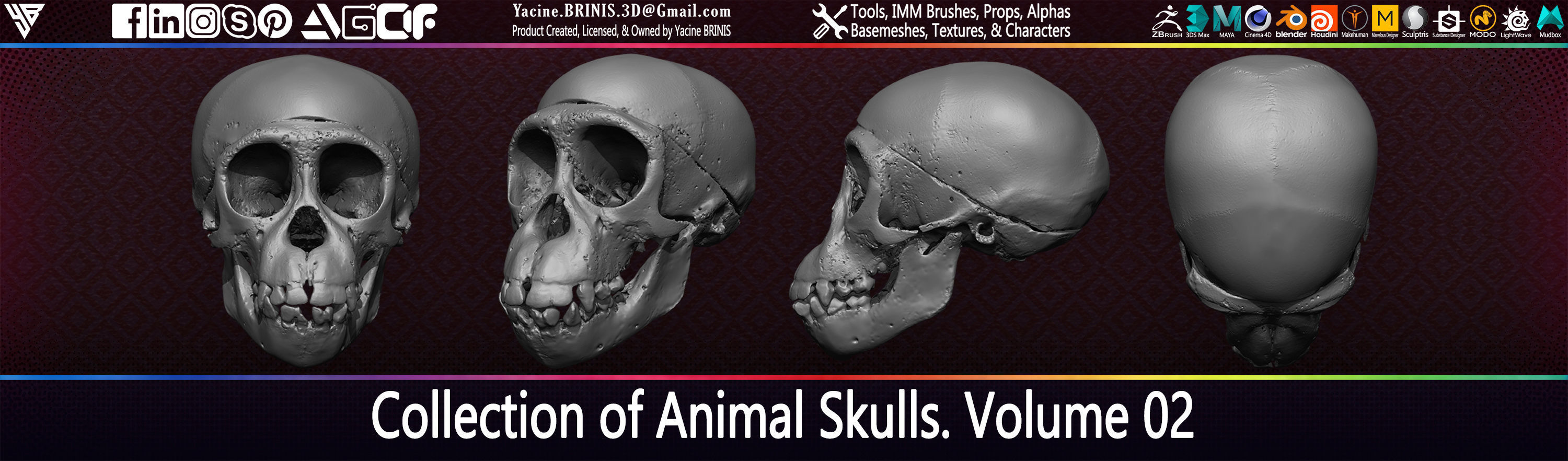 20 Animal Skulls Collection 02 Low-poly 3D model_26