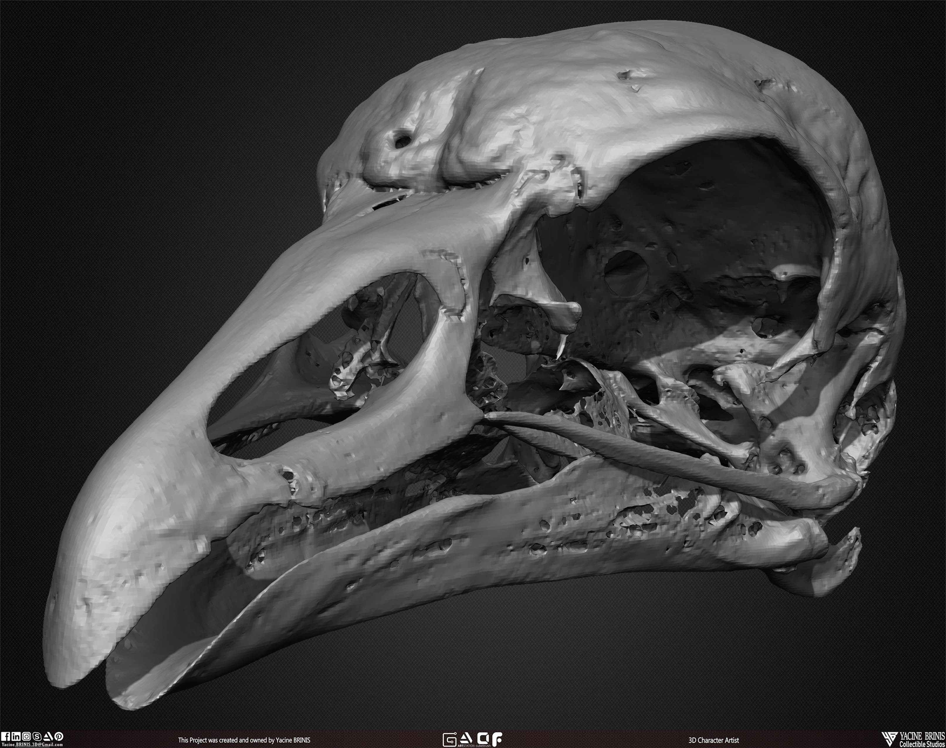 20 Animal Skulls Collection 02 Low-poly 3D model_38