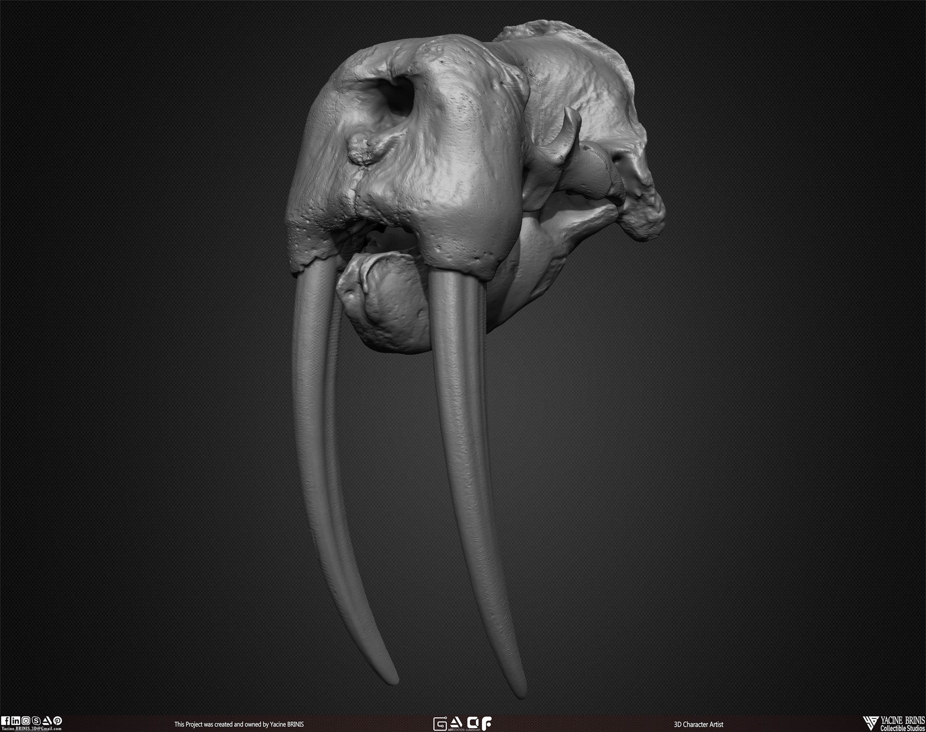 20 Animal Skulls Collection 02 Low-poly 3D model_37