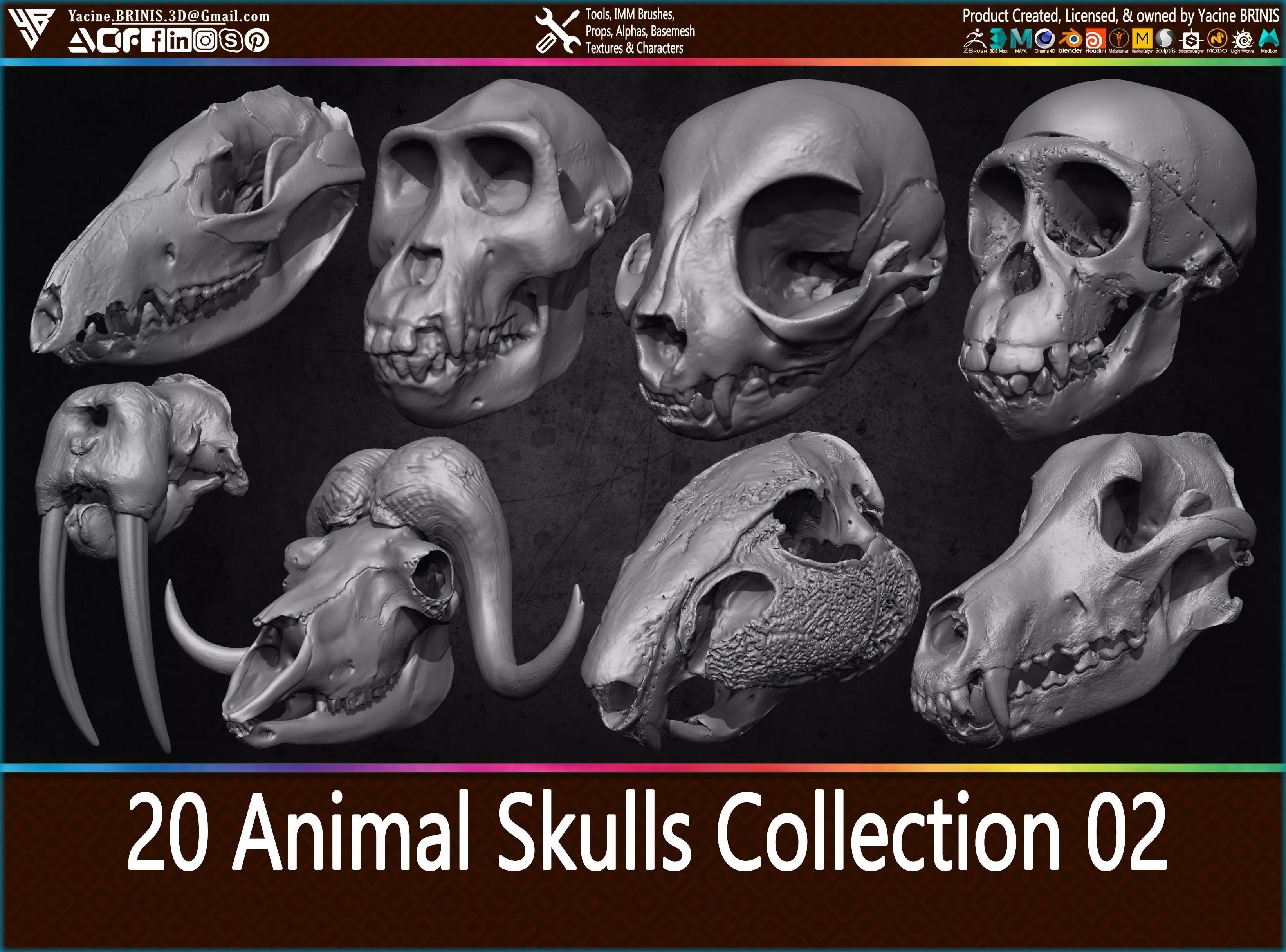 20 Animal Skulls Collection 02 Low-poly 3D model_0