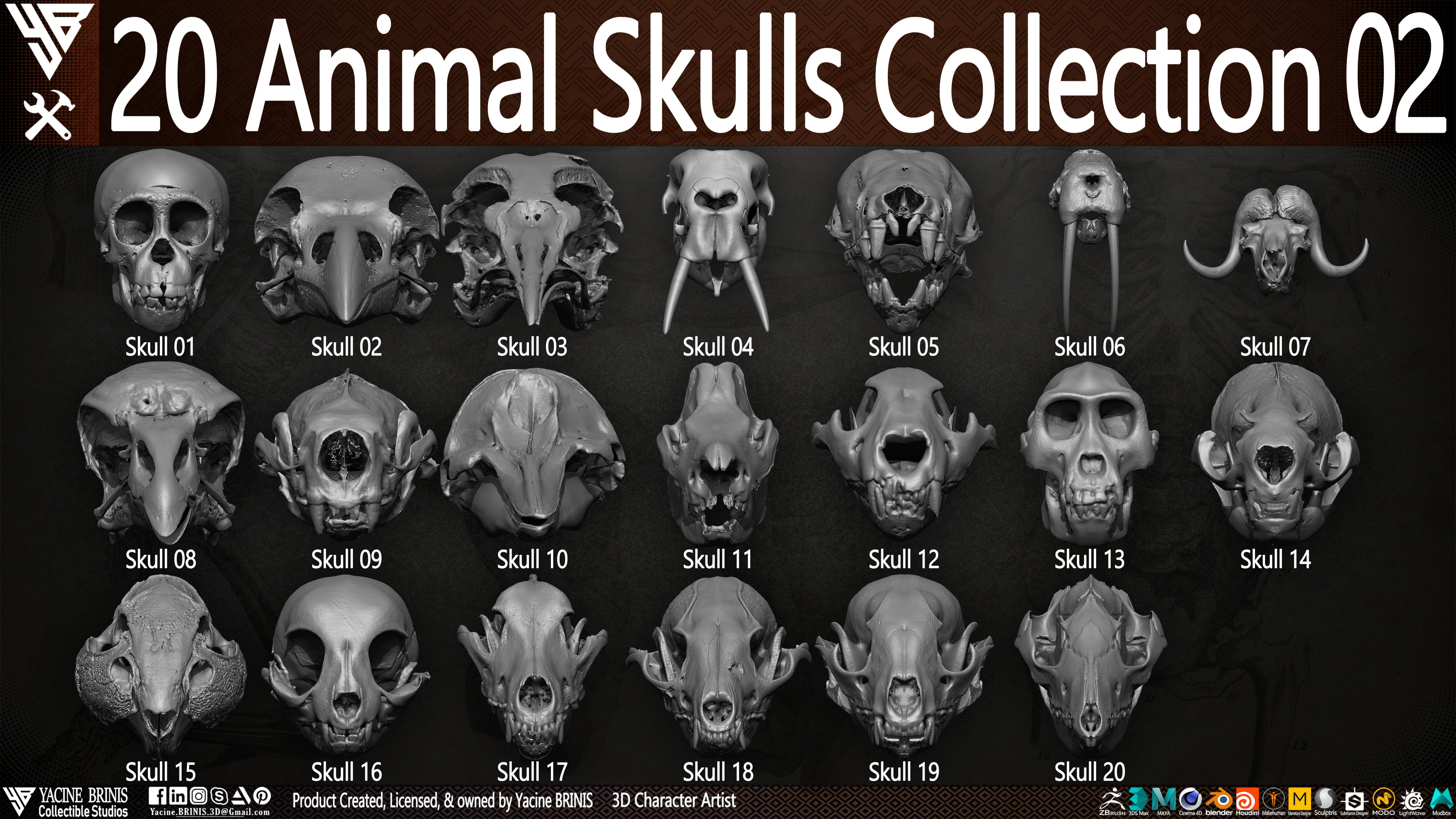 20 Animal Skulls Collection 02 Low-poly 3D model_2