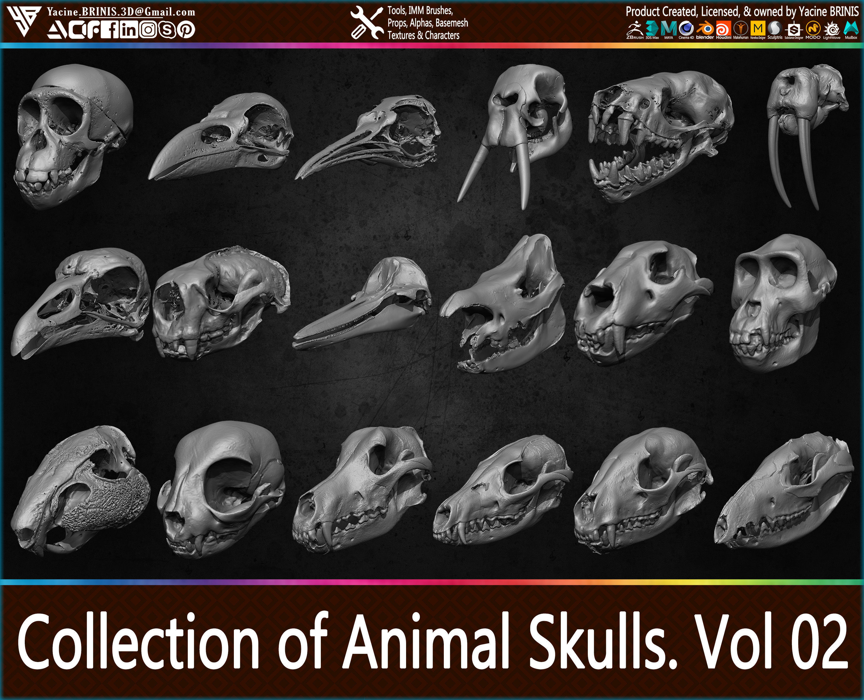20 Animal Skulls Collection 02 Low-poly 3D model_23