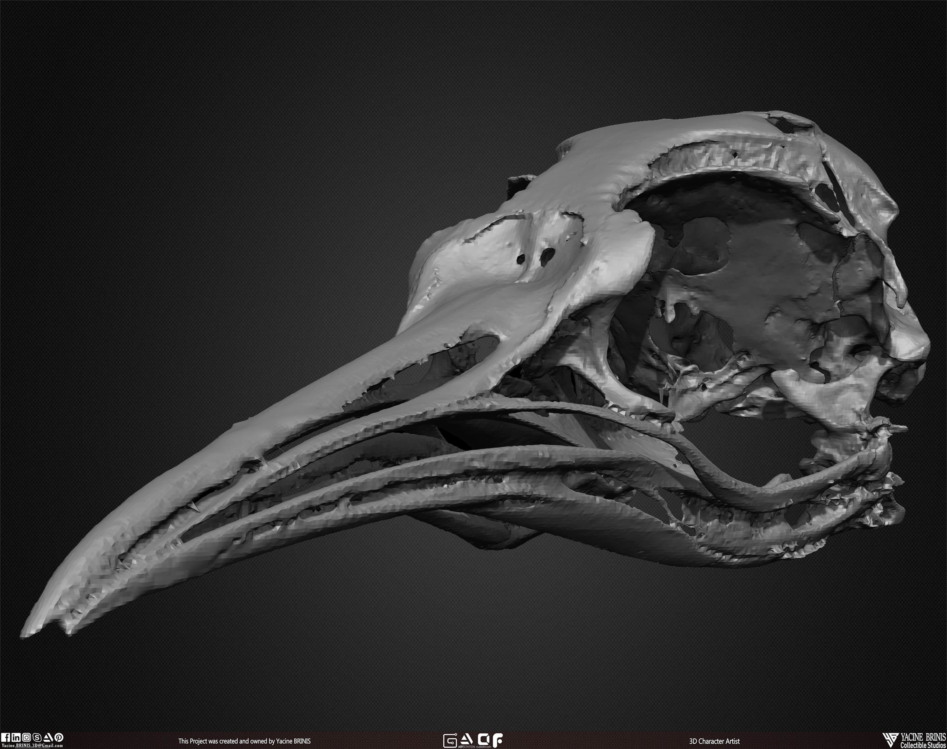 20 Animal Skulls Collection 02 Low-poly 3D model_31