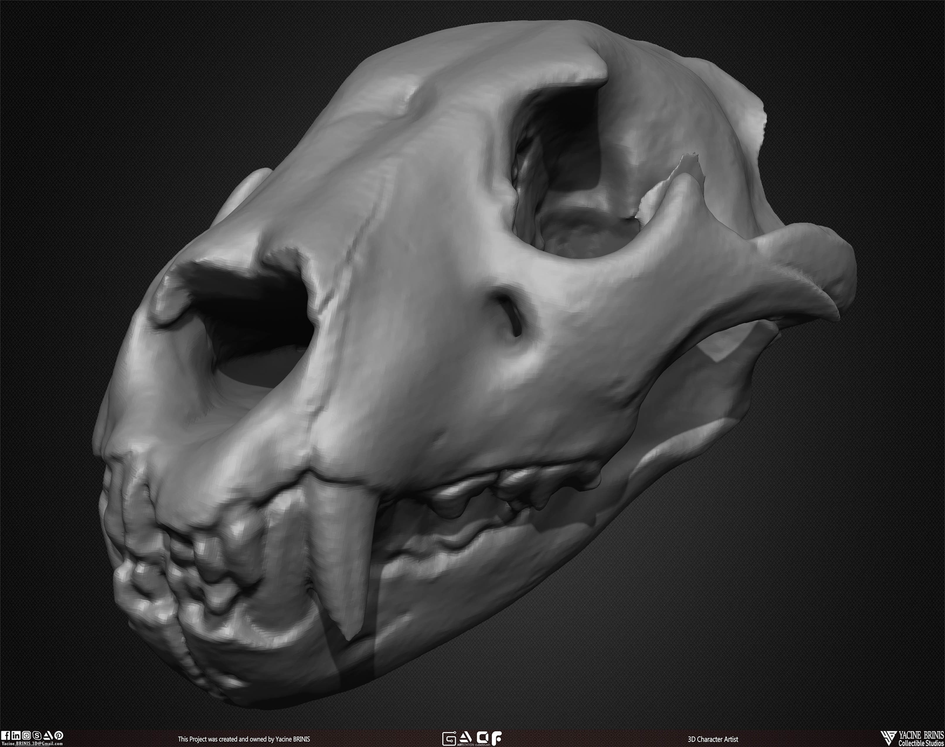 20 Animal Skulls Collection 02 Low-poly 3D model_43