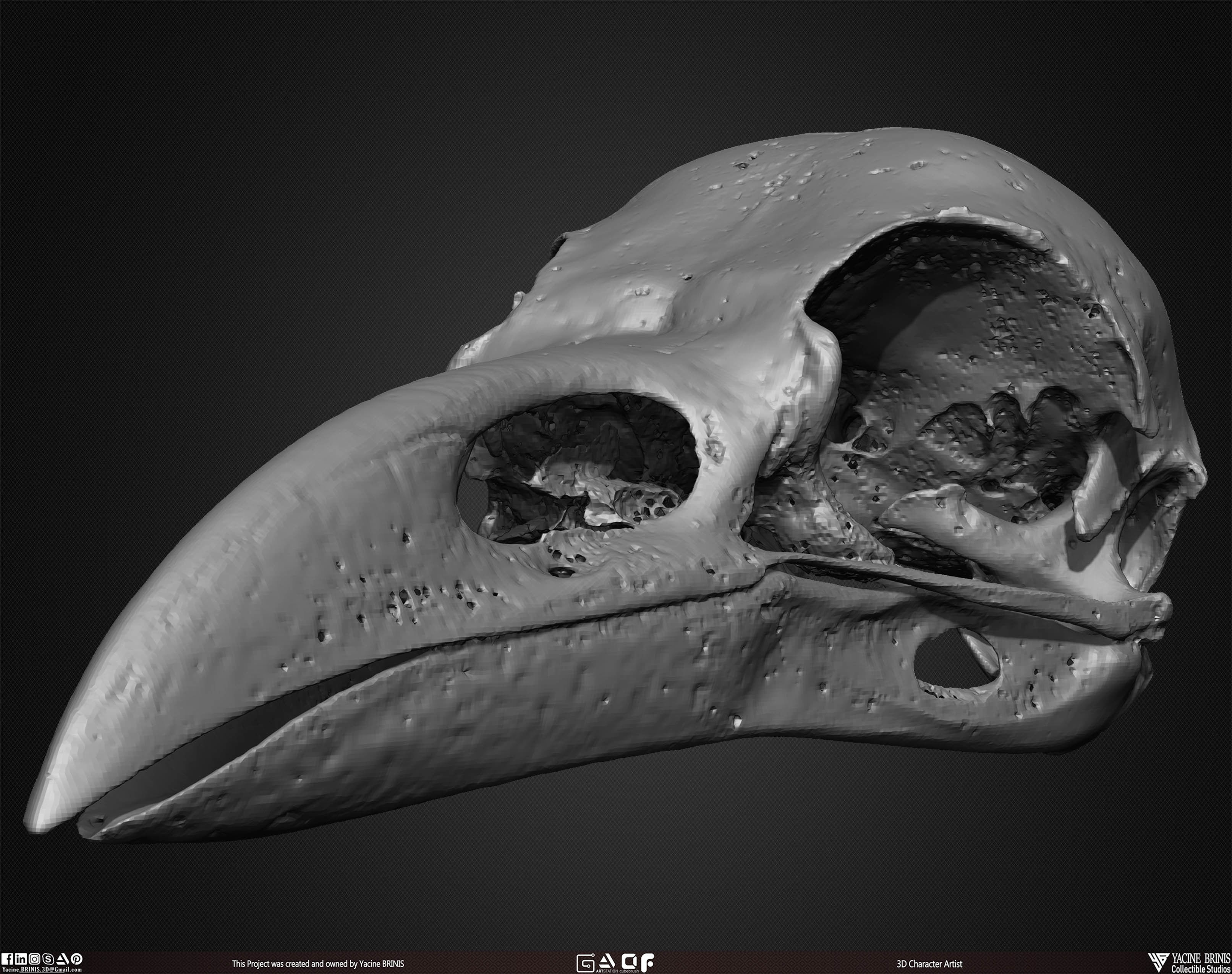 20 Animal Skulls Collection 02 Low-poly 3D model_32