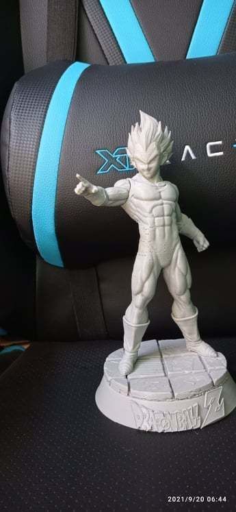 vejeta dbz 3D print model_3