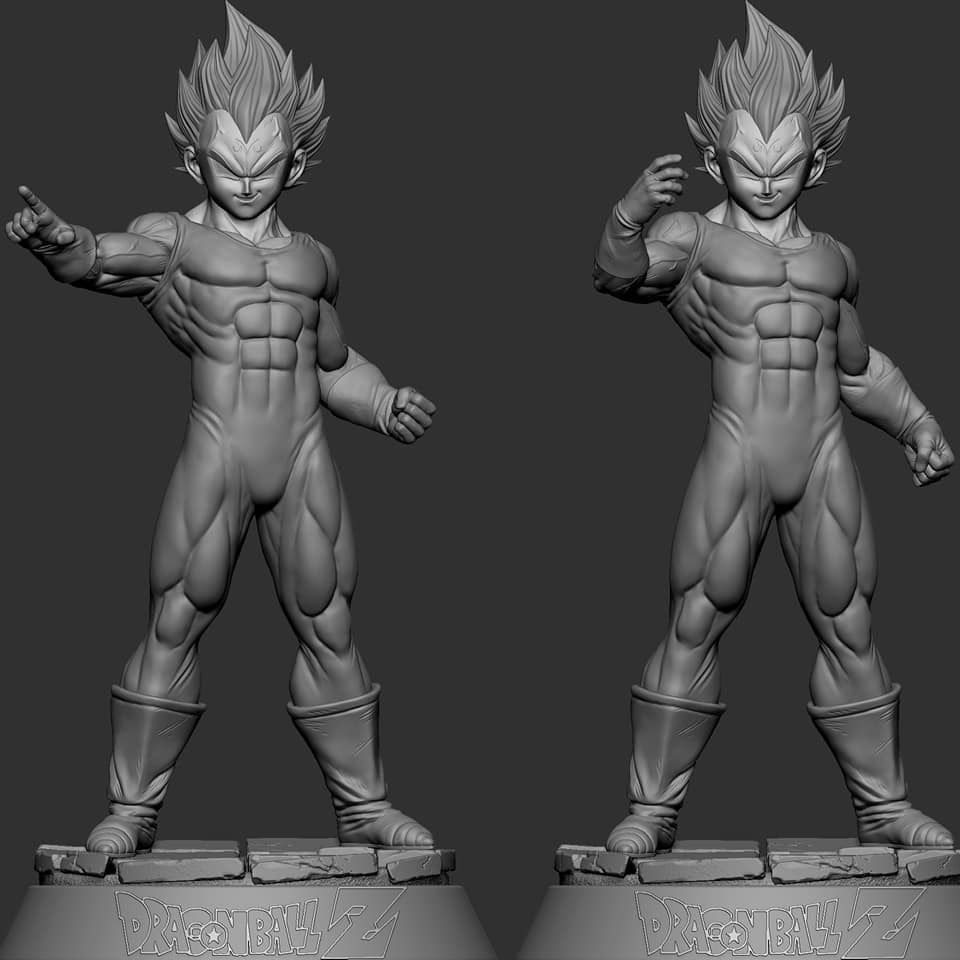vejeta dbz 3D print model_1