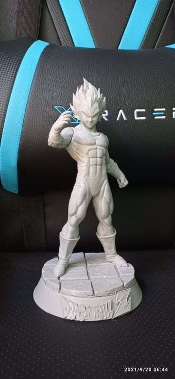 vejeta dbz 3D print model_2