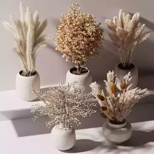 bouqute10 set of vases with dried grasses 3D model