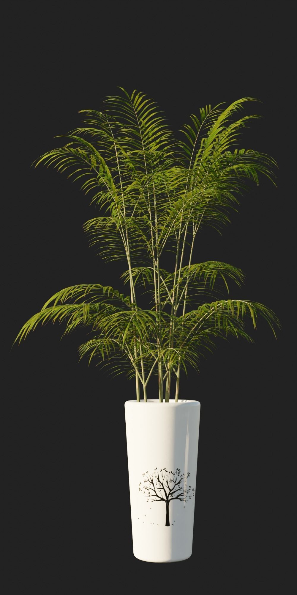 Potted Palm Plants Low-poly 3D model_3
