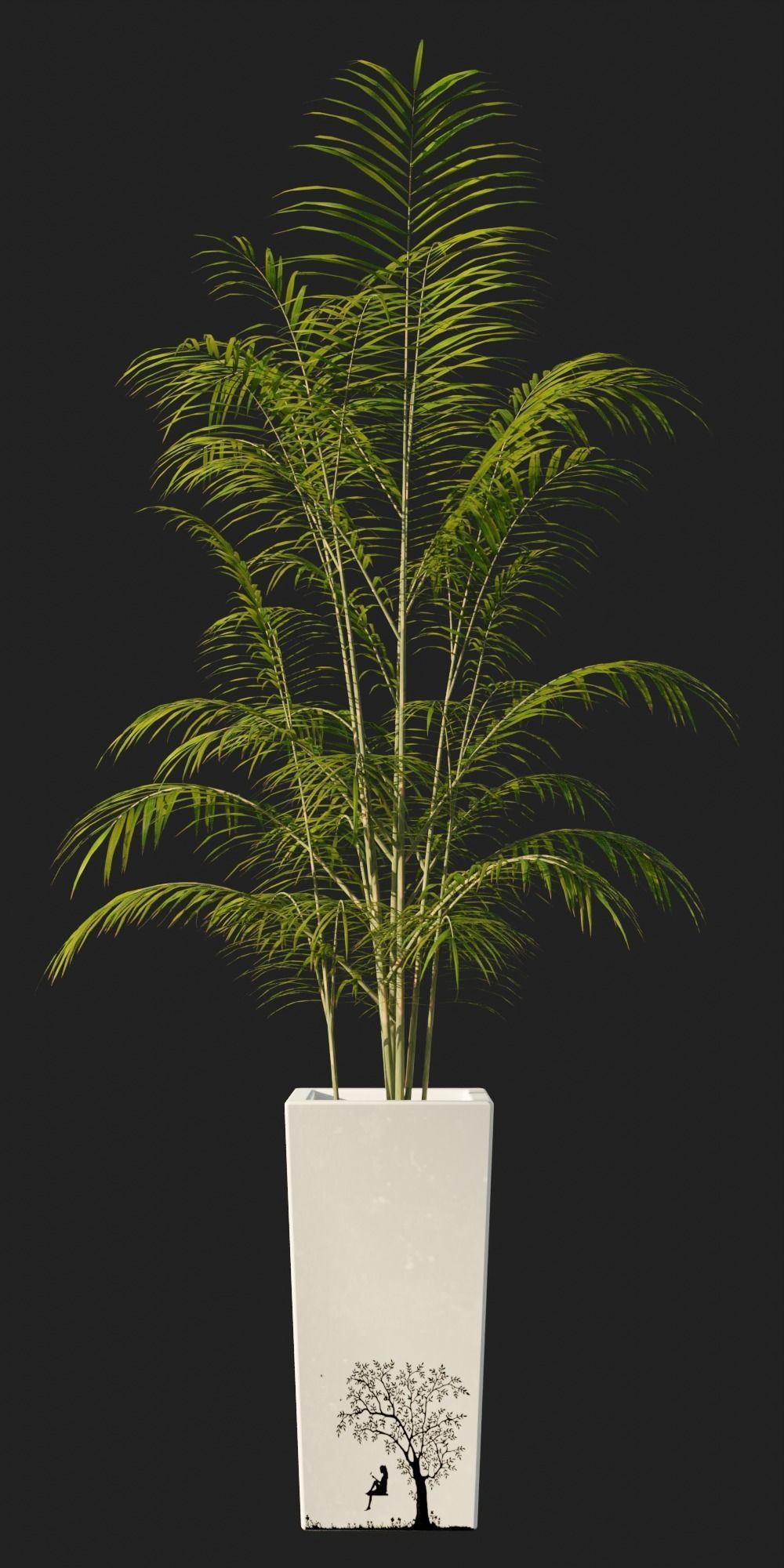 Potted Palm Plants Low-poly 3D model_2