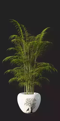 Potted Palm Plants Low-poly 3D model