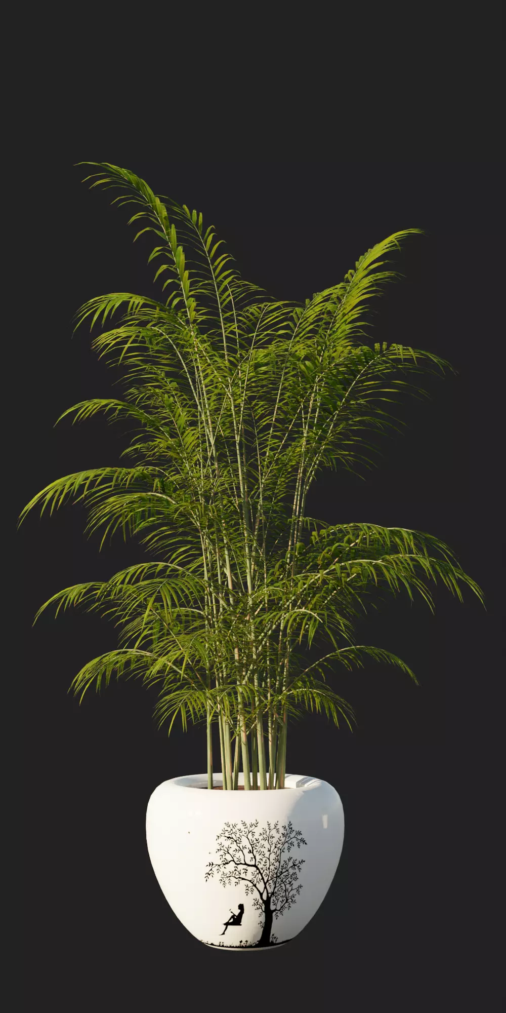 Potted Palm Plants Low-poly 3D model_0