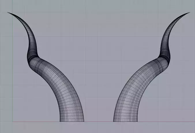 Horns01 pair of horns