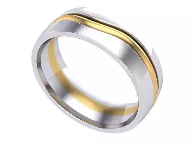 Silver and Gold Band