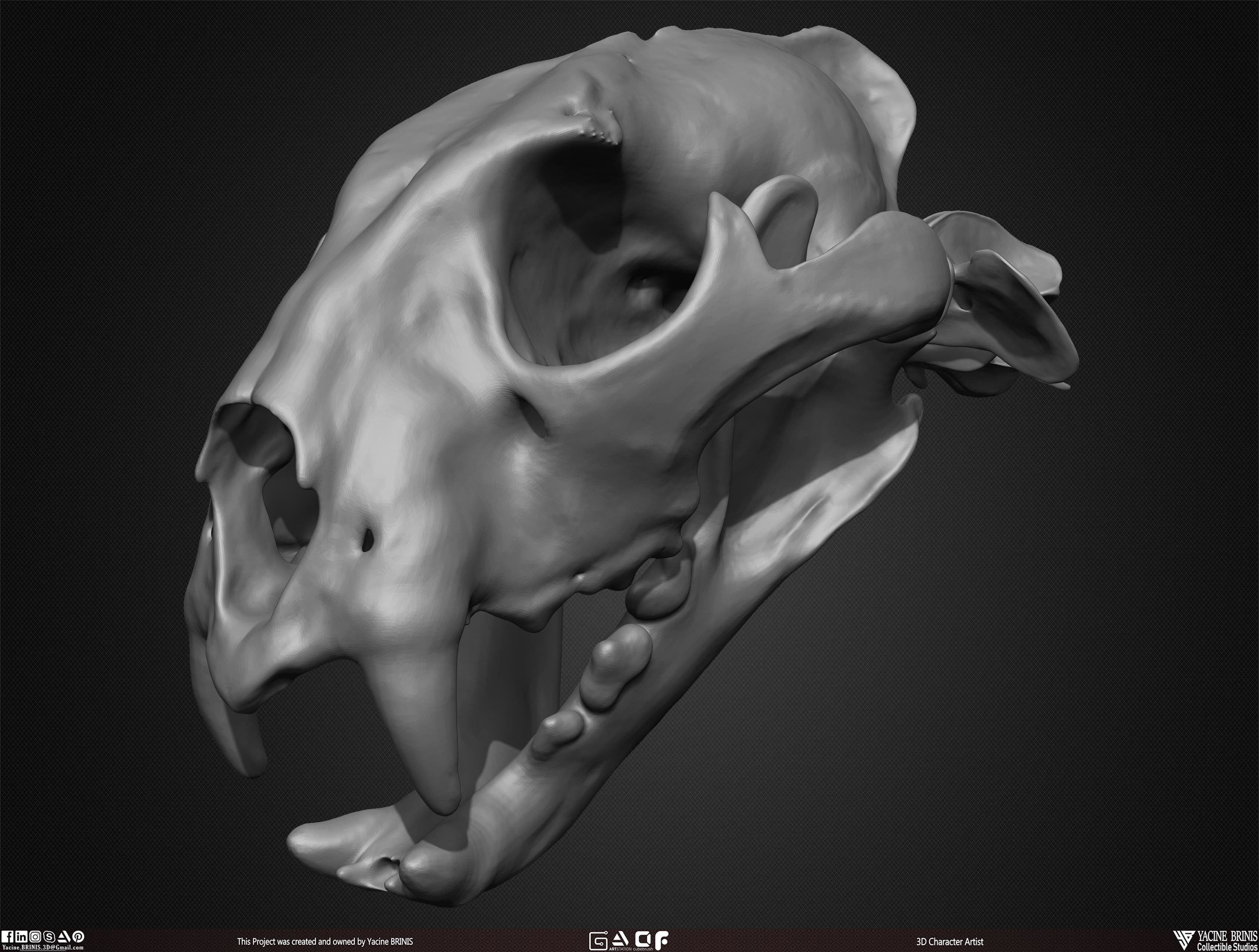 20 Animal Skulls Collection 03 Low-poly 3D model_31