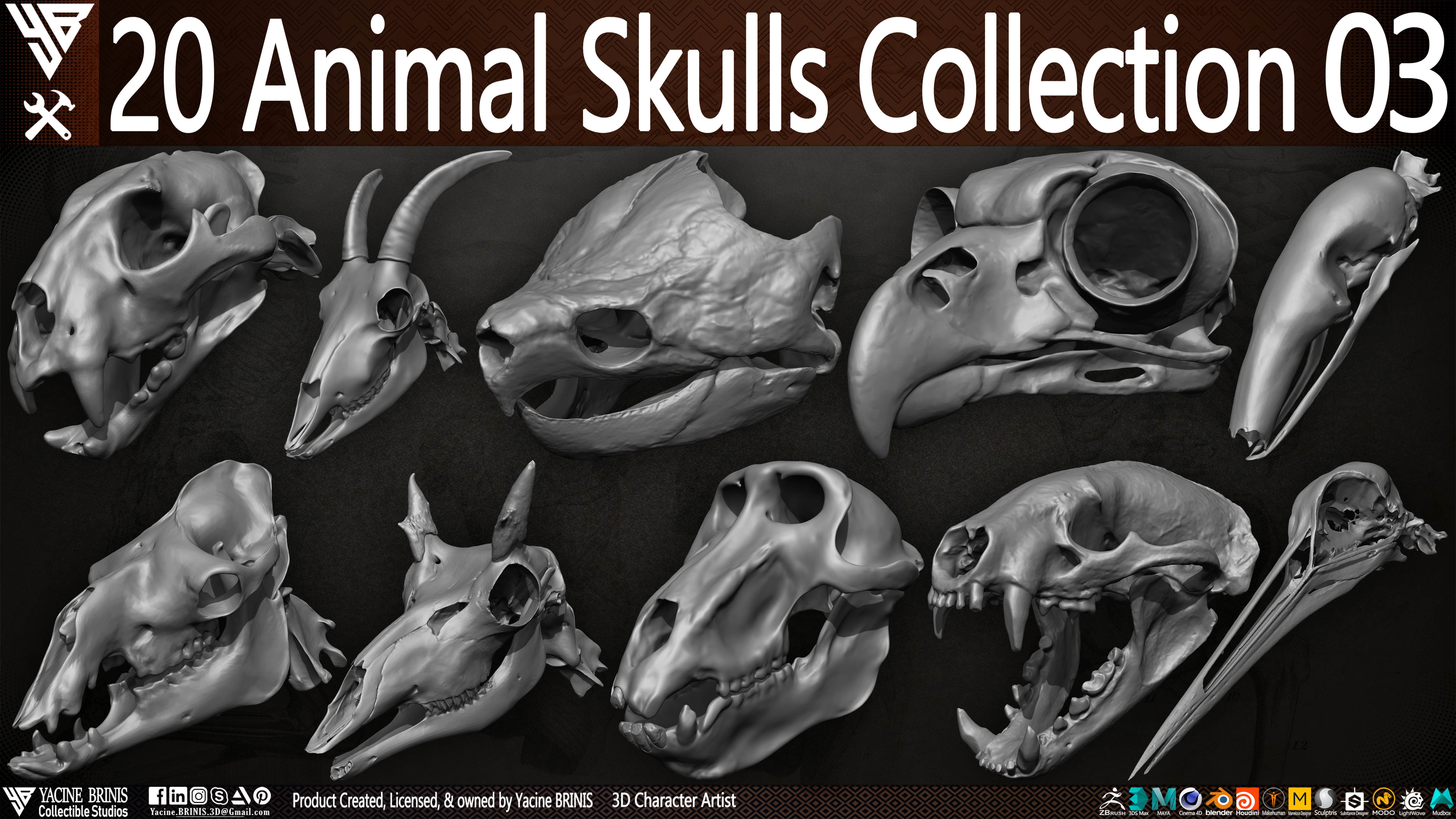 20 Animal Skulls Collection 03 Low-poly 3D model_26
