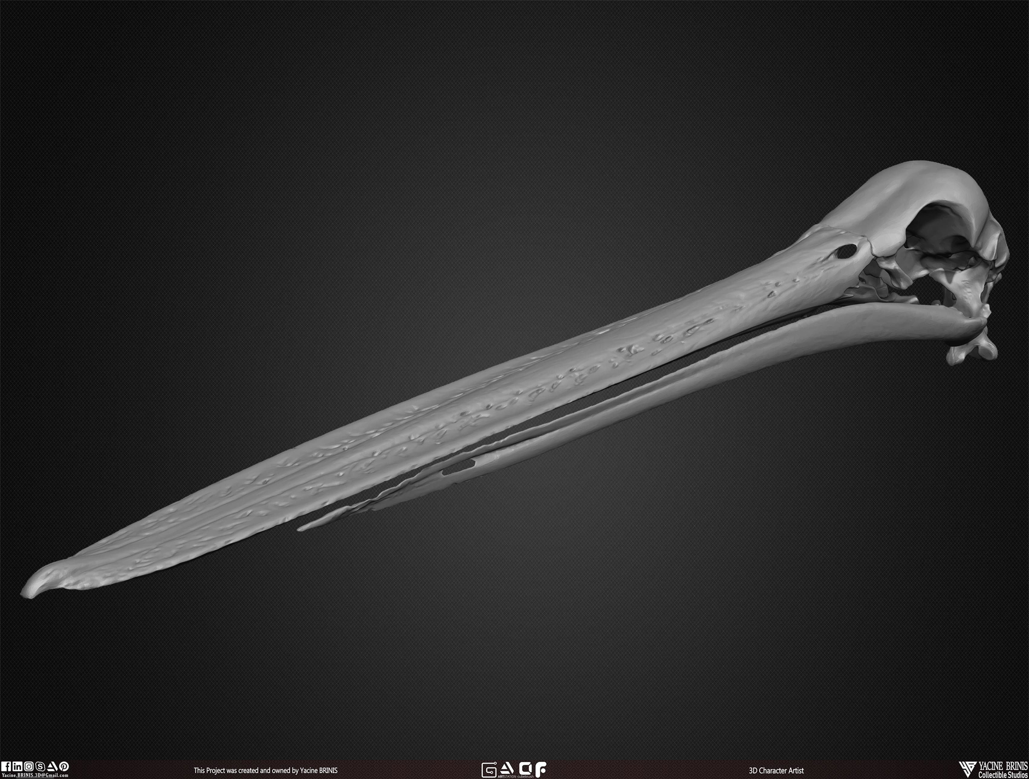 20 Animal Skulls Collection 03 Low-poly 3D model_34