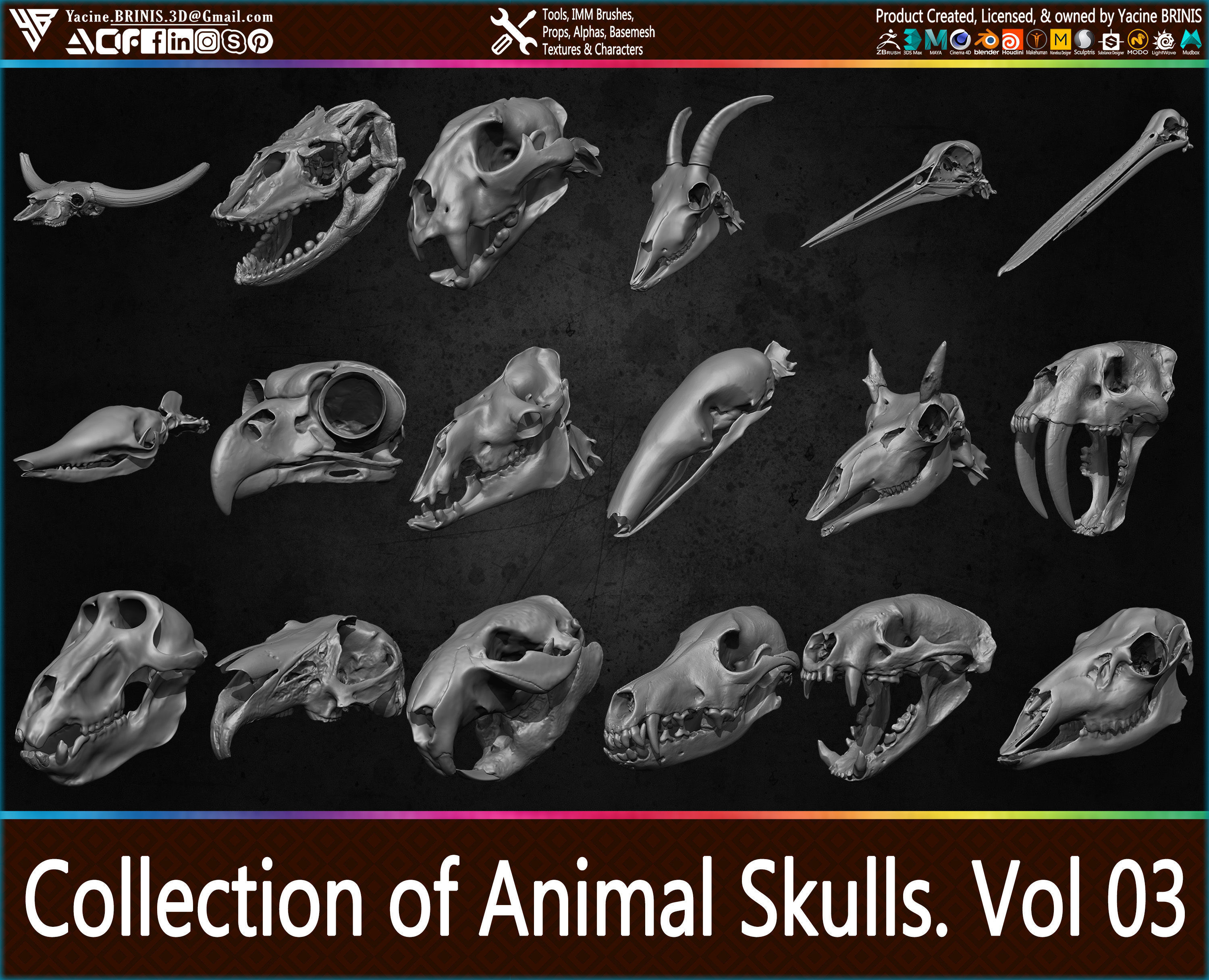 20 Animal Skulls Collection 03 Low-poly 3D model_27
