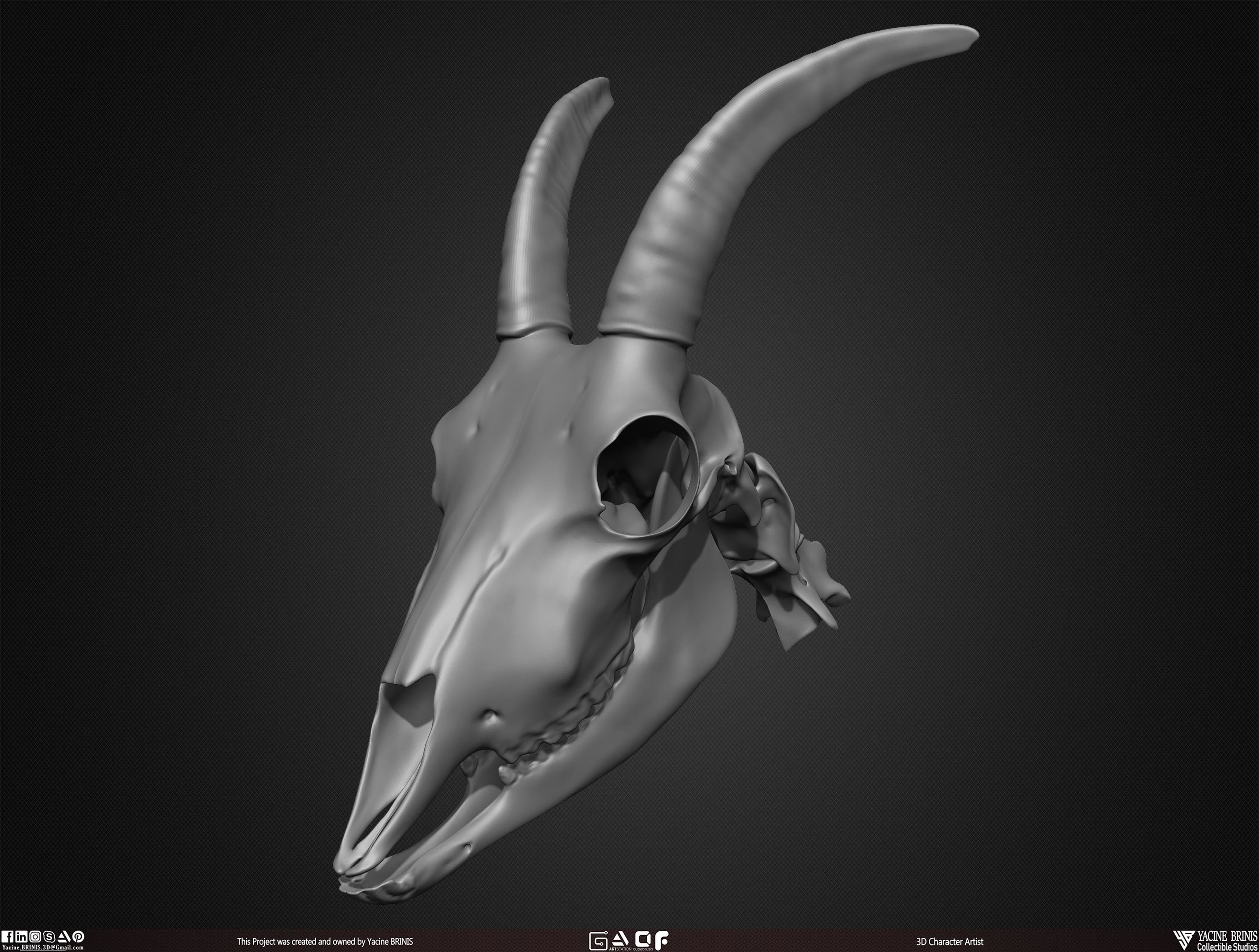 20 Animal Skulls Collection 03 Low-poly 3D model_32