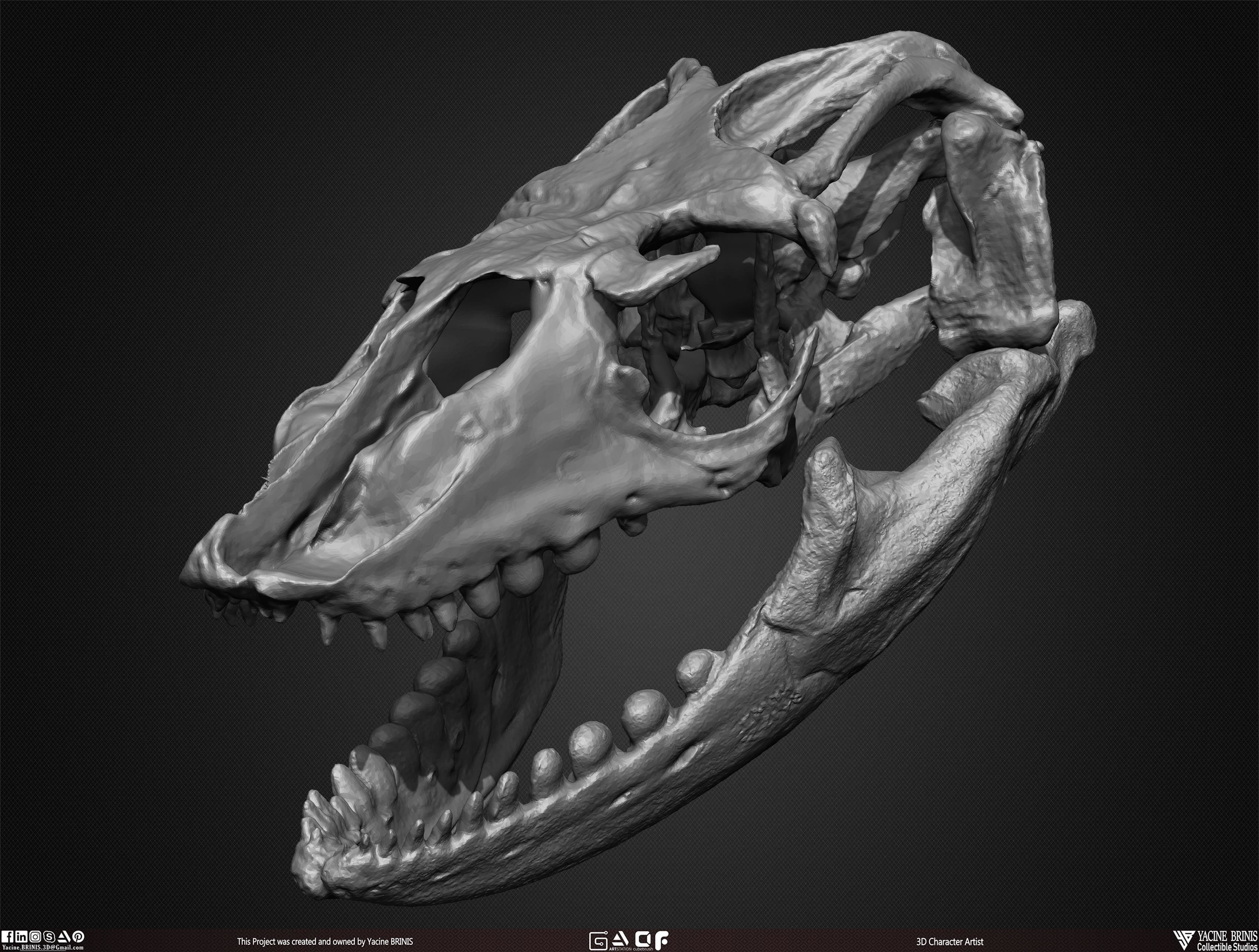 20 Animal Skulls Collection 03 Low-poly 3D model_30