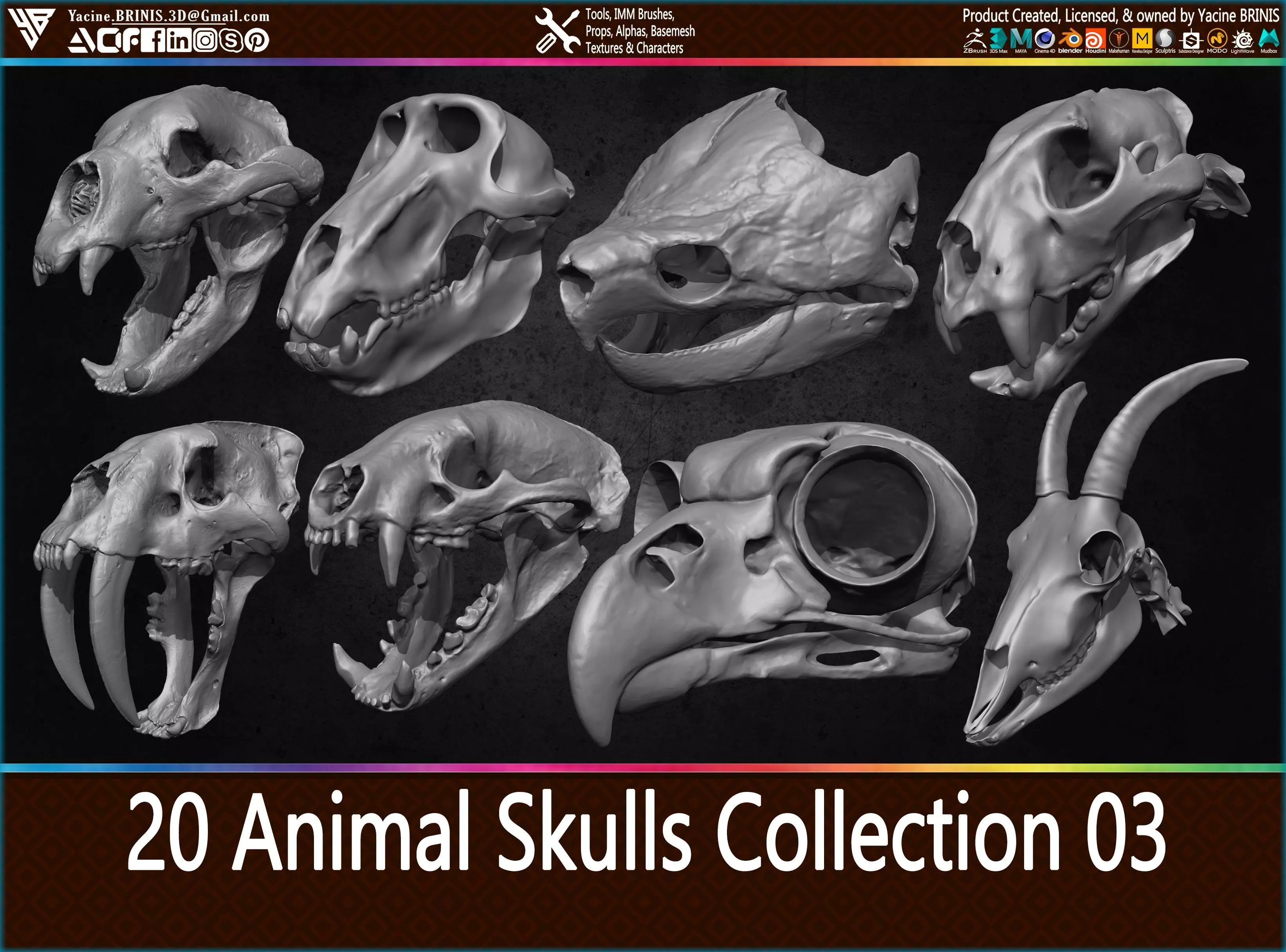20 Animal Skulls Collection 03 Low-poly 3D model_0