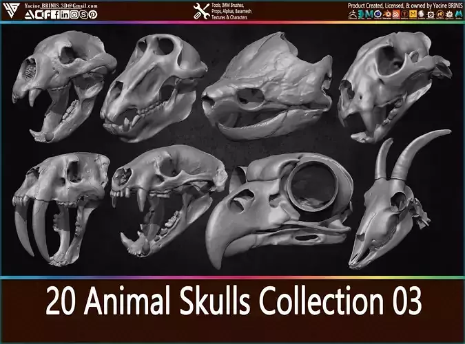 20 Animal Skulls Collection 03 Low-poly 3D model