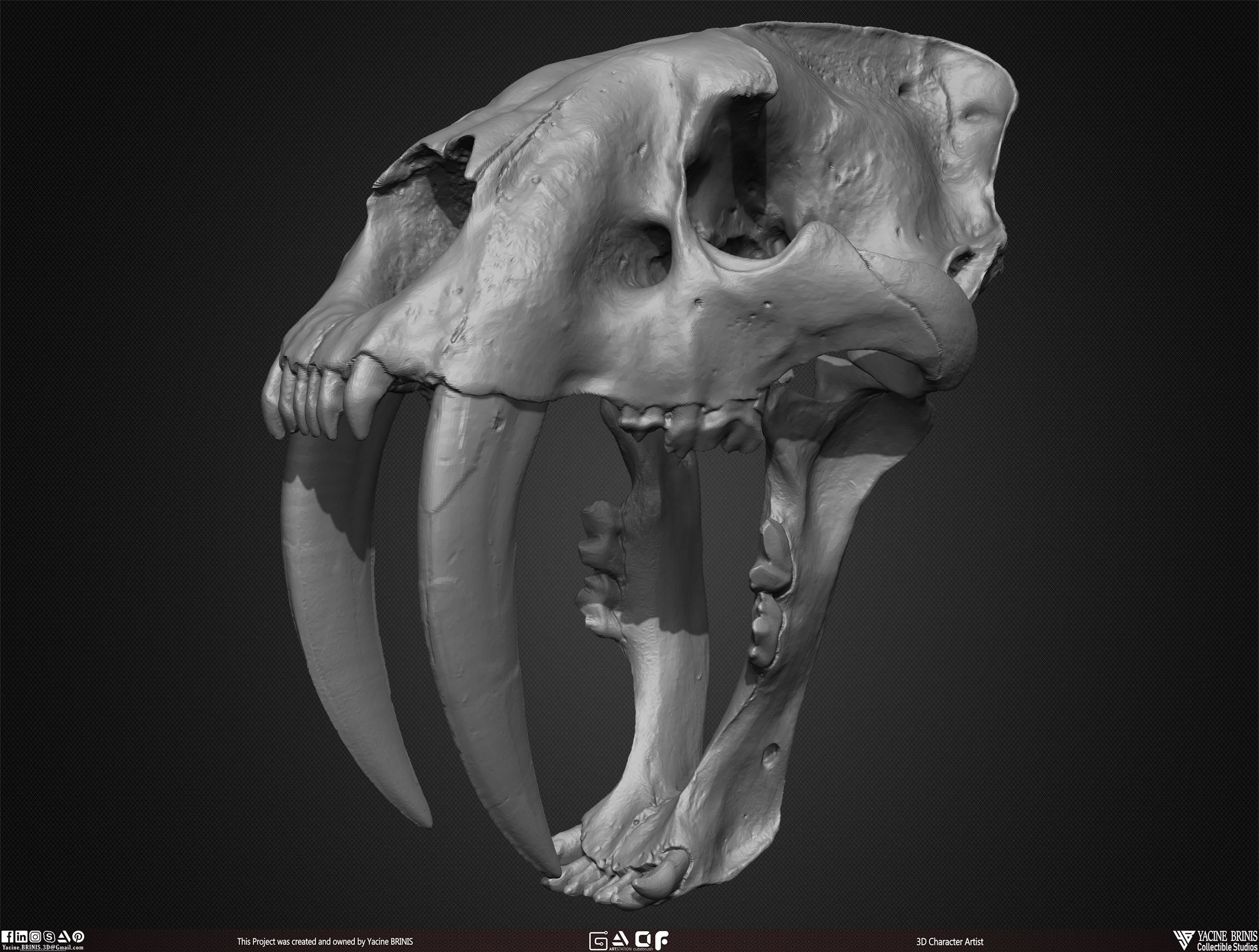 20 Animal Skulls Collection 03 Low-poly 3D model_41