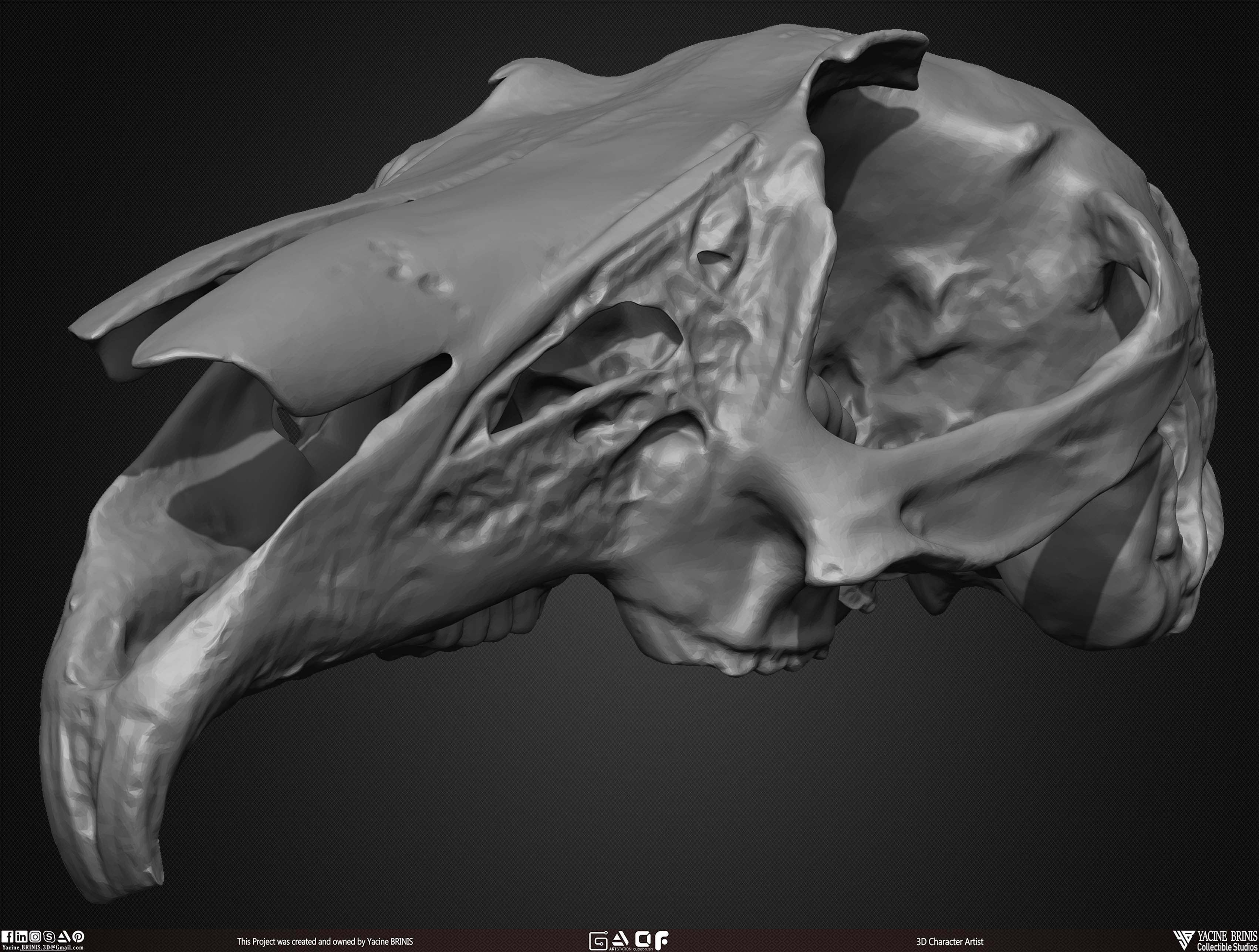 20 Animal Skulls Collection 03 Low-poly 3D model_44