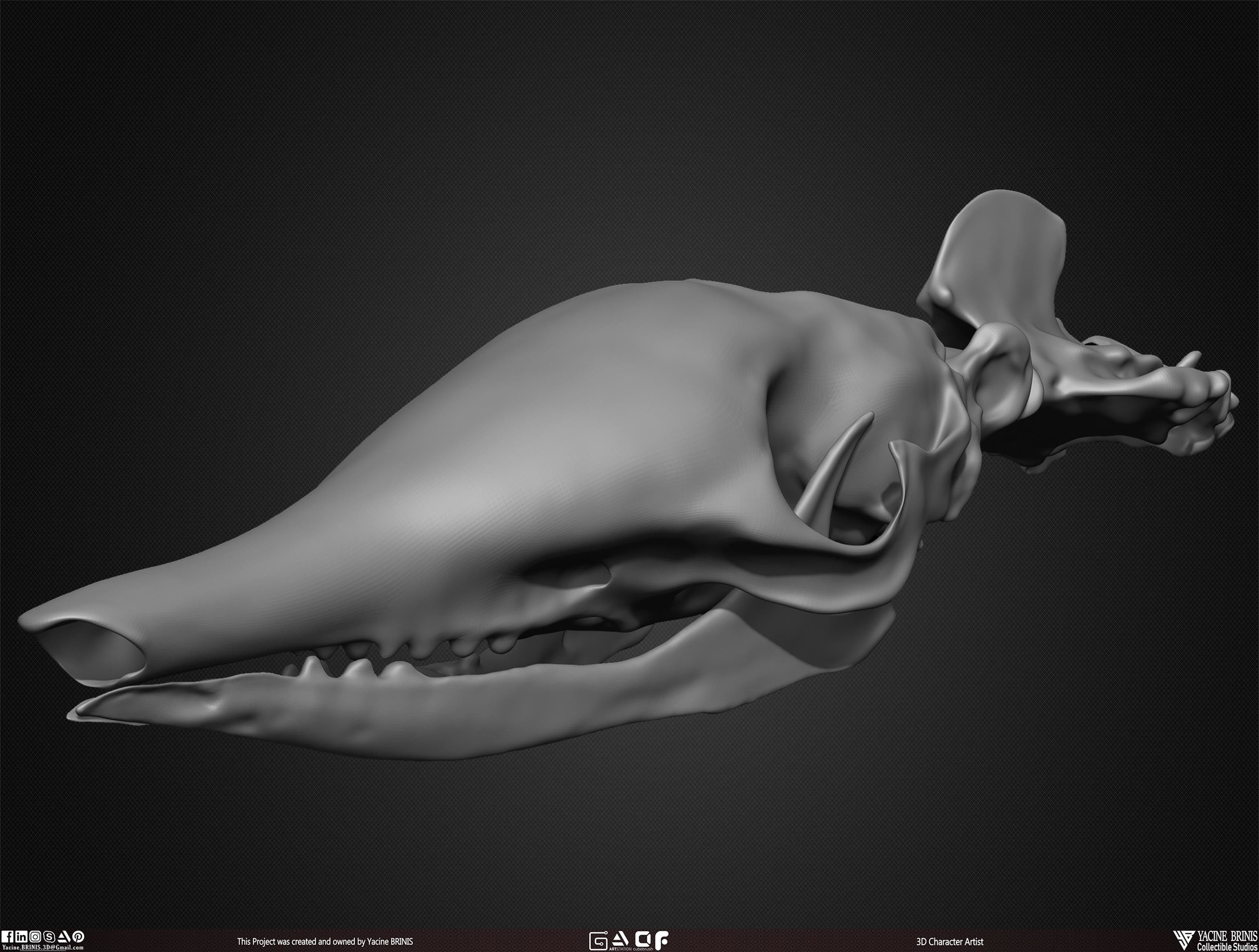 20 Animal Skulls Collection 03 Low-poly 3D model_36