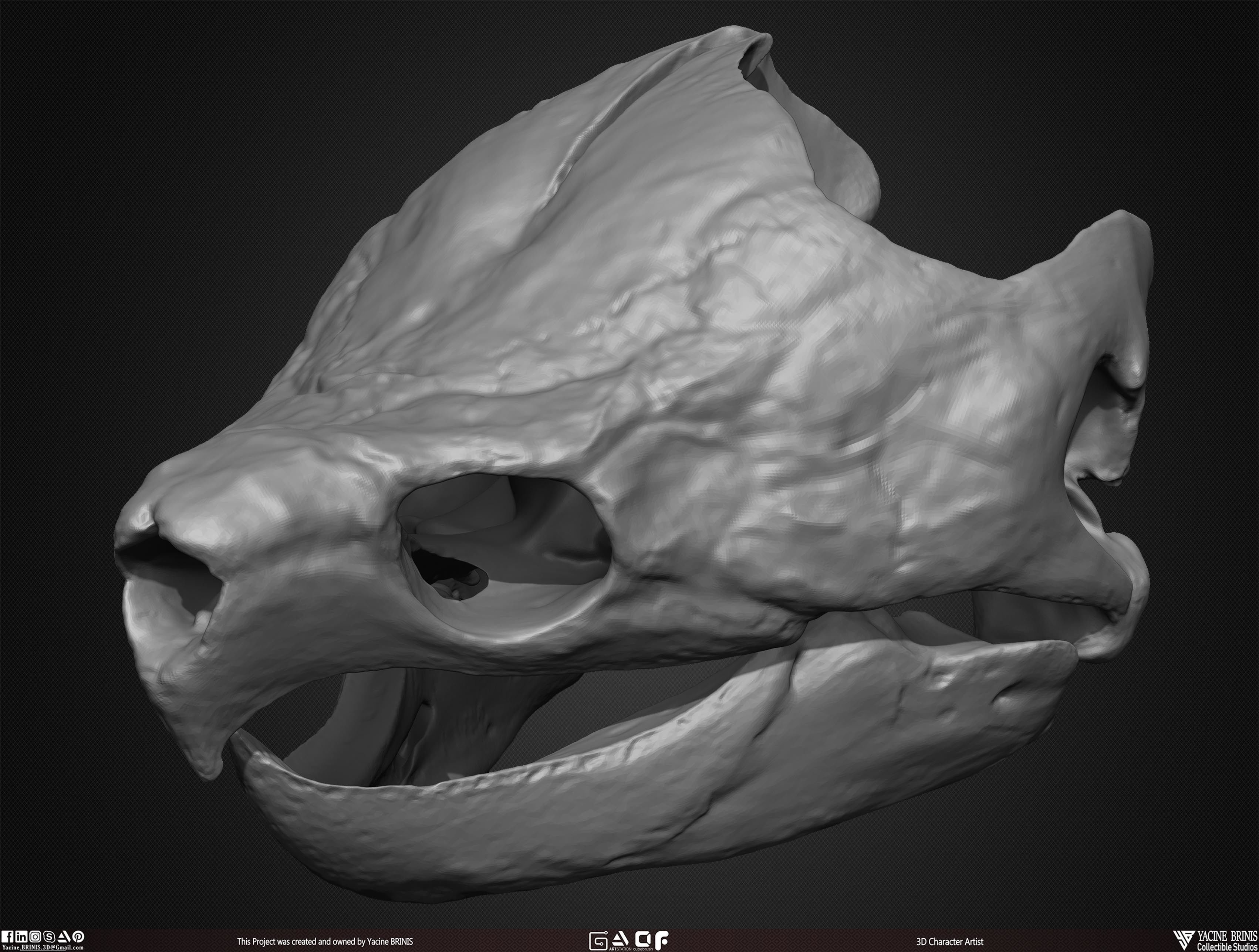 20 Animal Skulls Collection 03 Low-poly 3D model_35