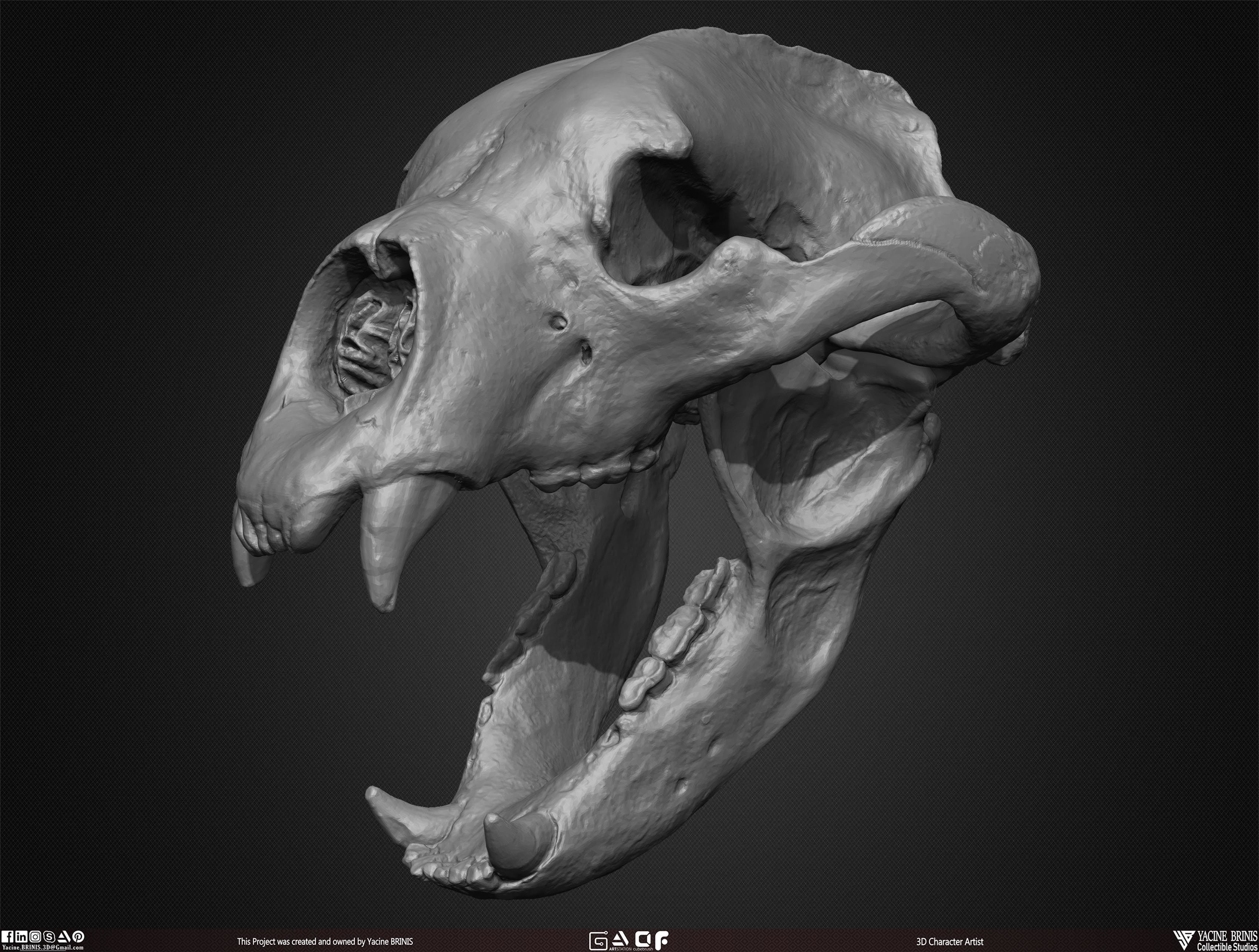20 Animal Skulls Collection 03 Low-poly 3D model_42