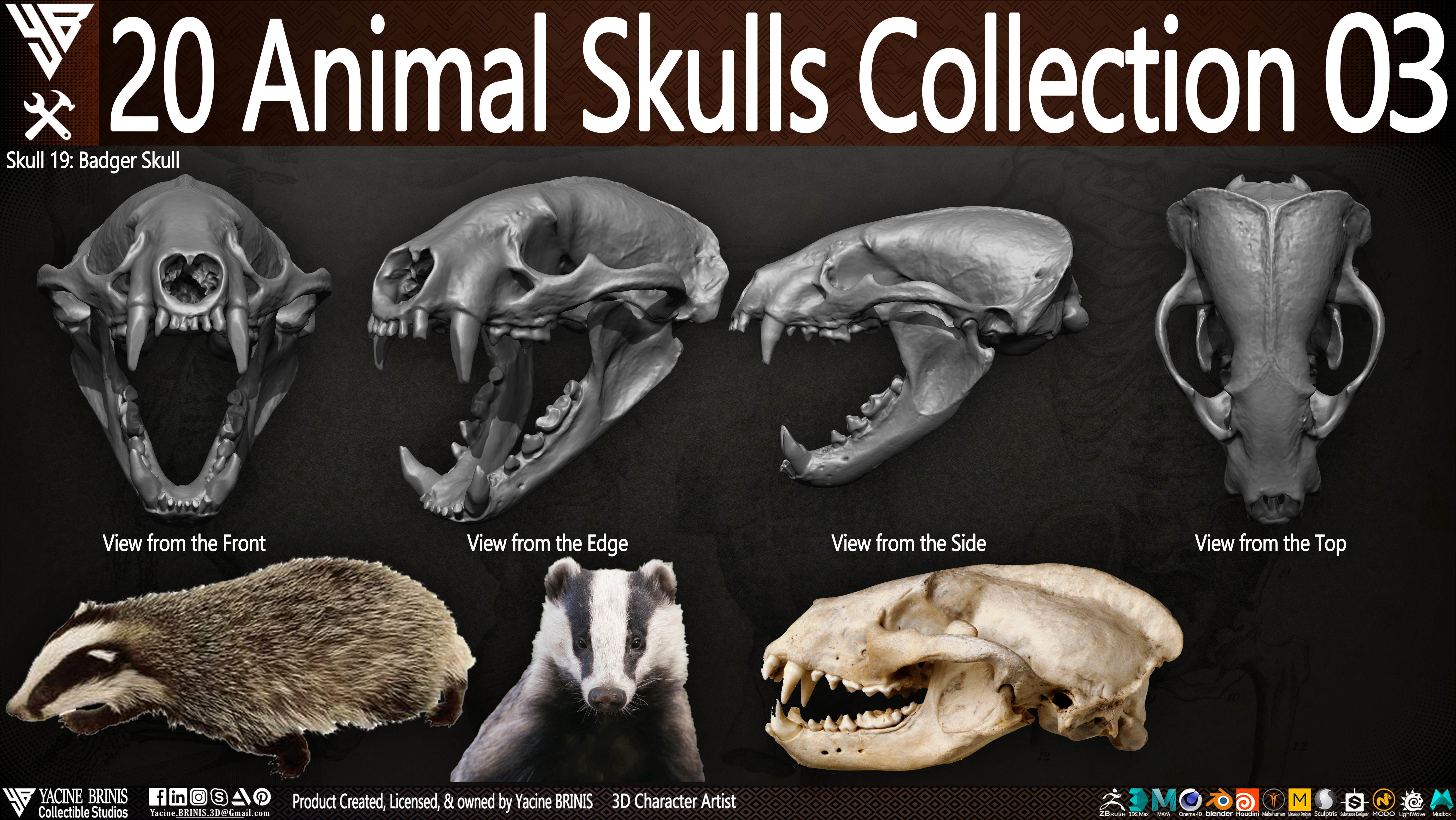 20 Animal Skulls Collection 03 Low-poly 3D model_24