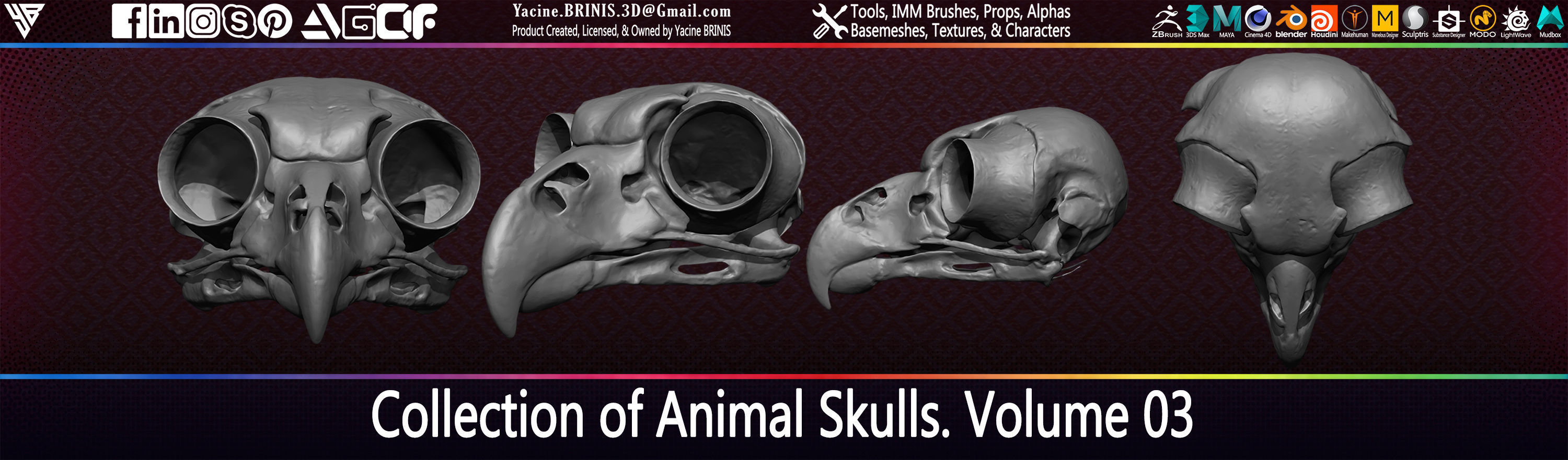 20 Animal Skulls Collection 03 Low-poly 3D model_28