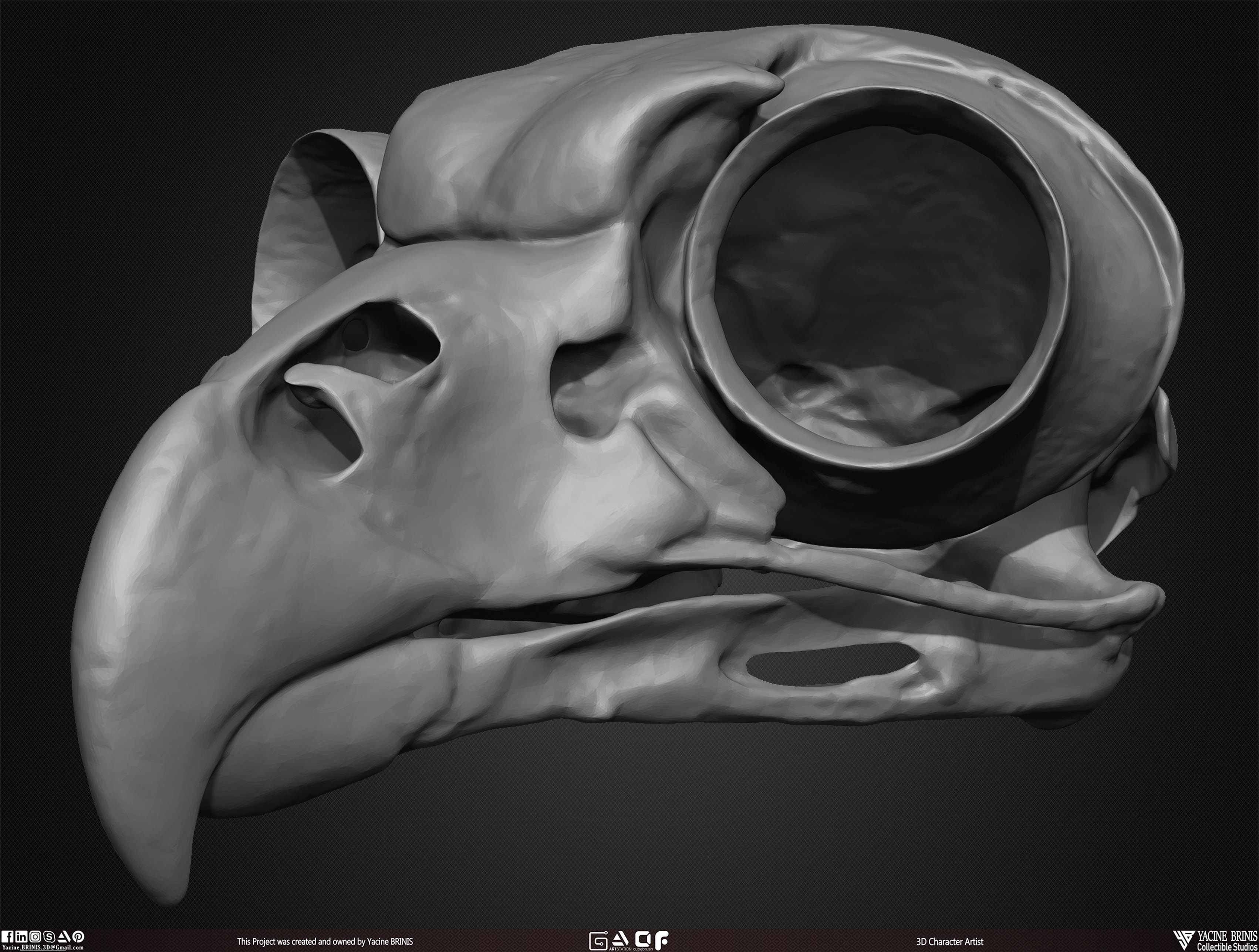 20 Animal Skulls Collection 03 Low-poly 3D model_37