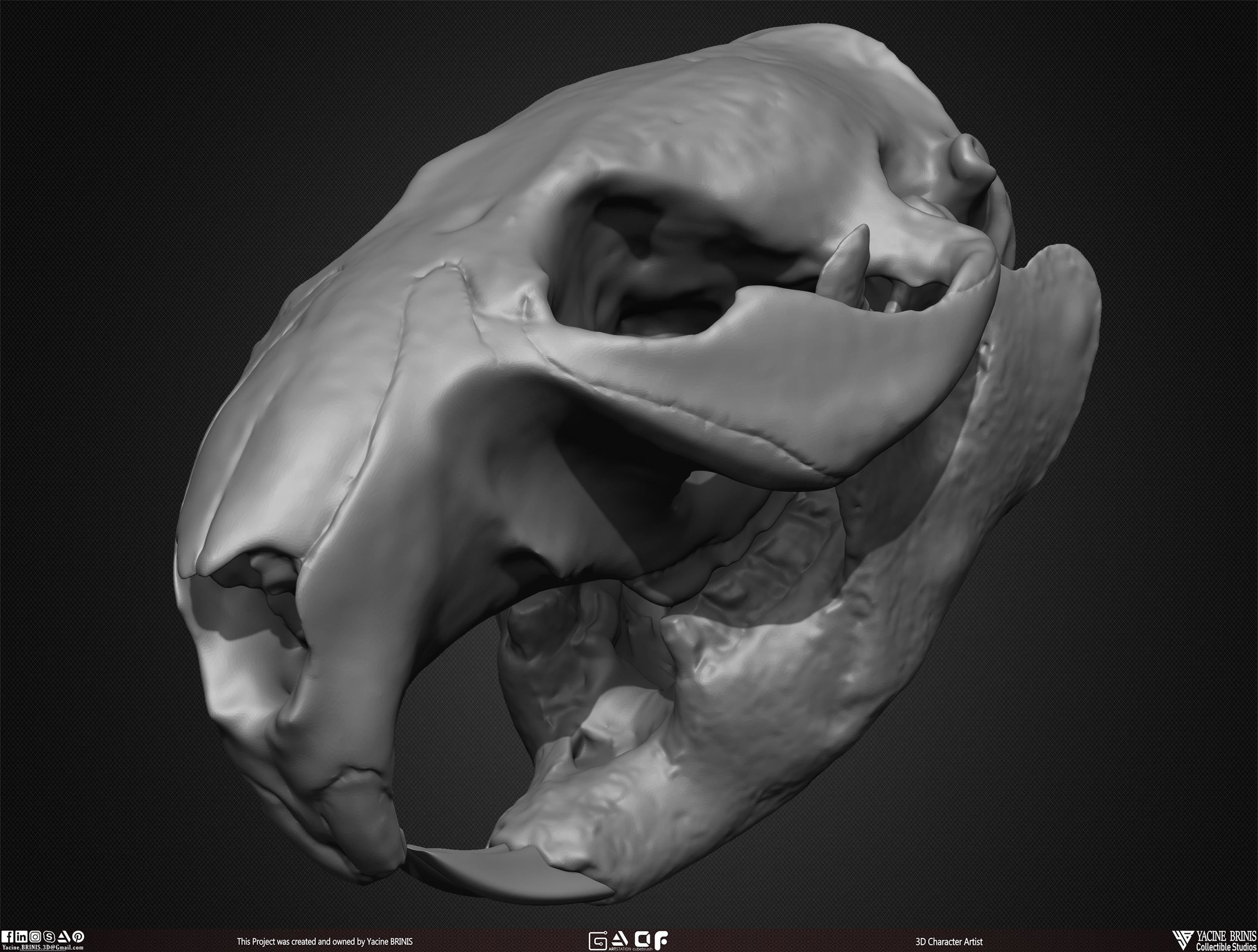 20 Animal Skulls Collection 03 Low-poly 3D model_45