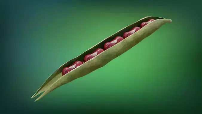 Beans peas in pod Low-poly 3D model