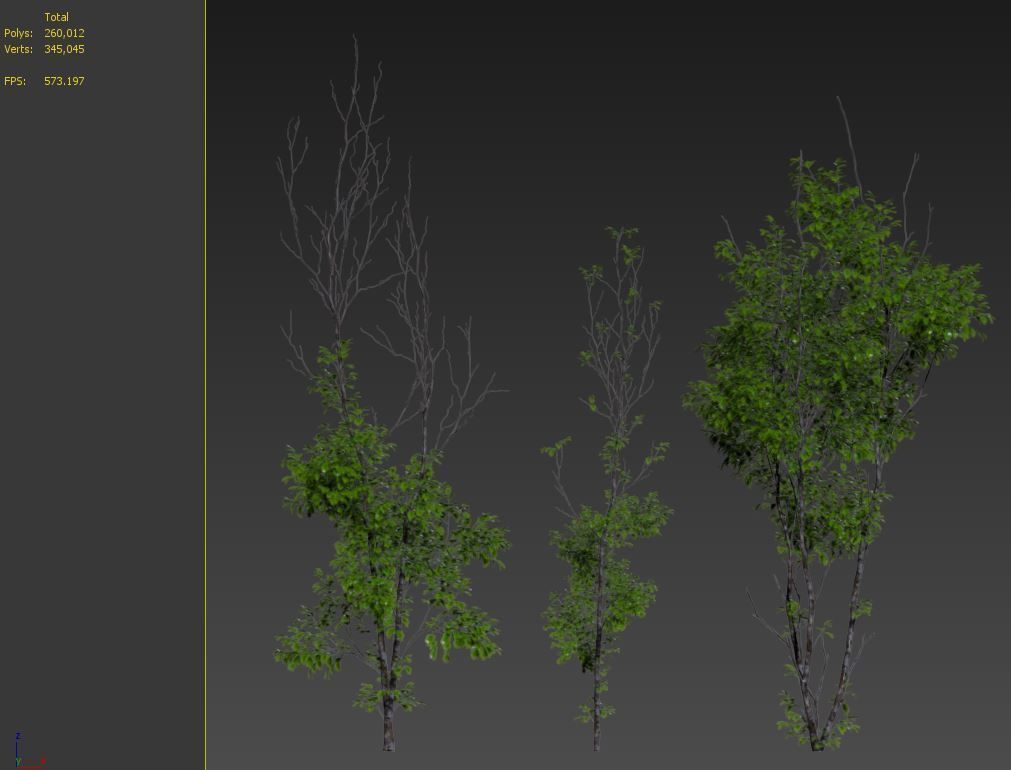 Cherry sapling 3D model_4