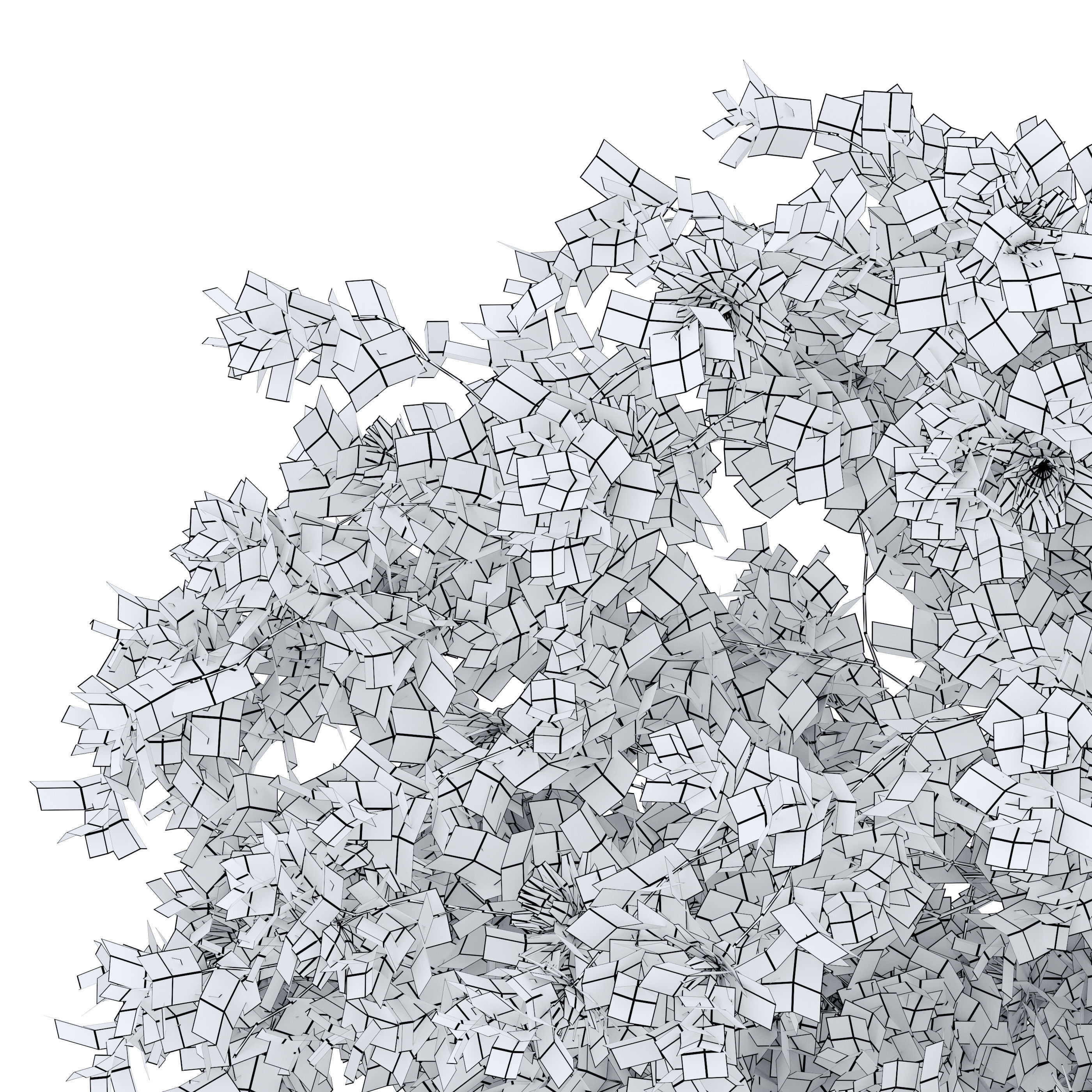 Vine plant 09 3D model_3