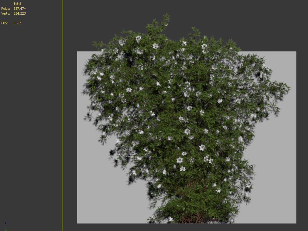 Vine plant 09 3D model_4