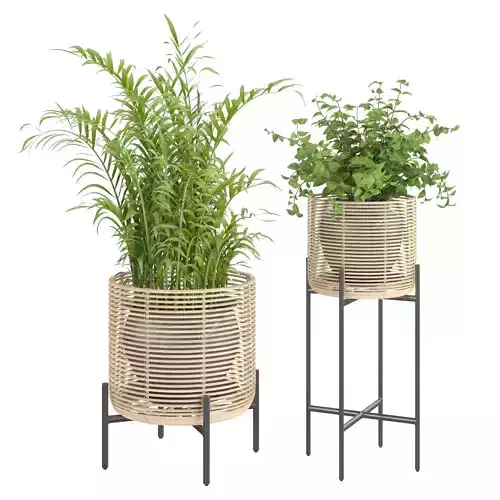 Vivi plant stands