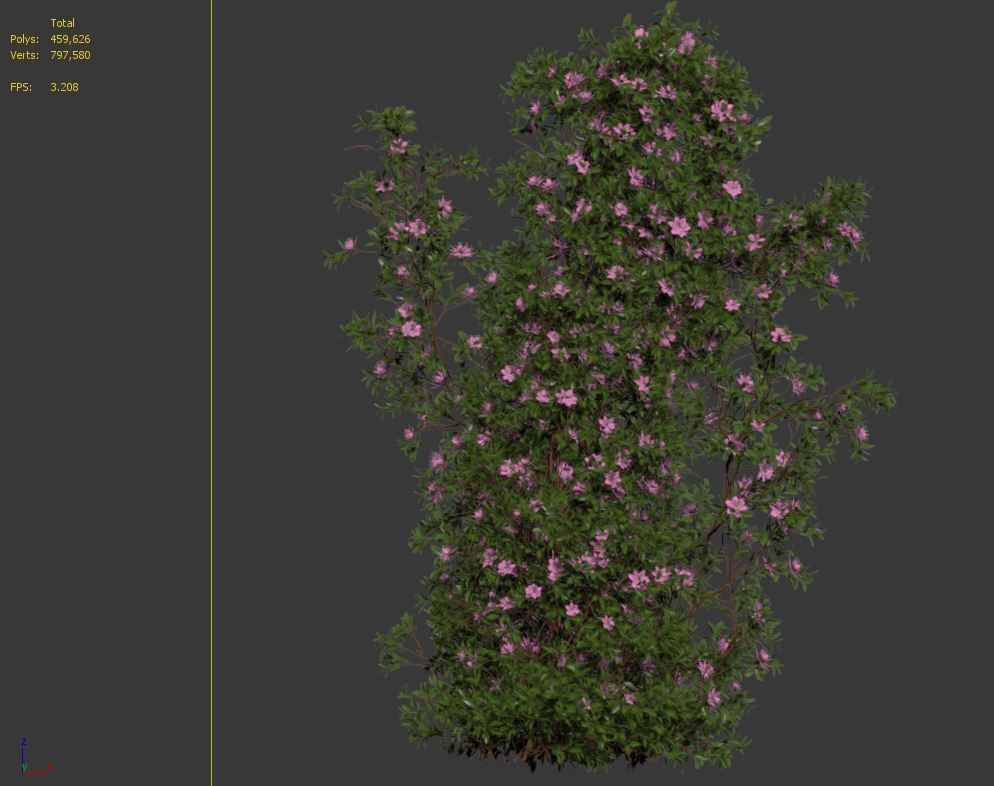 Vine Plant 08 3D model_4