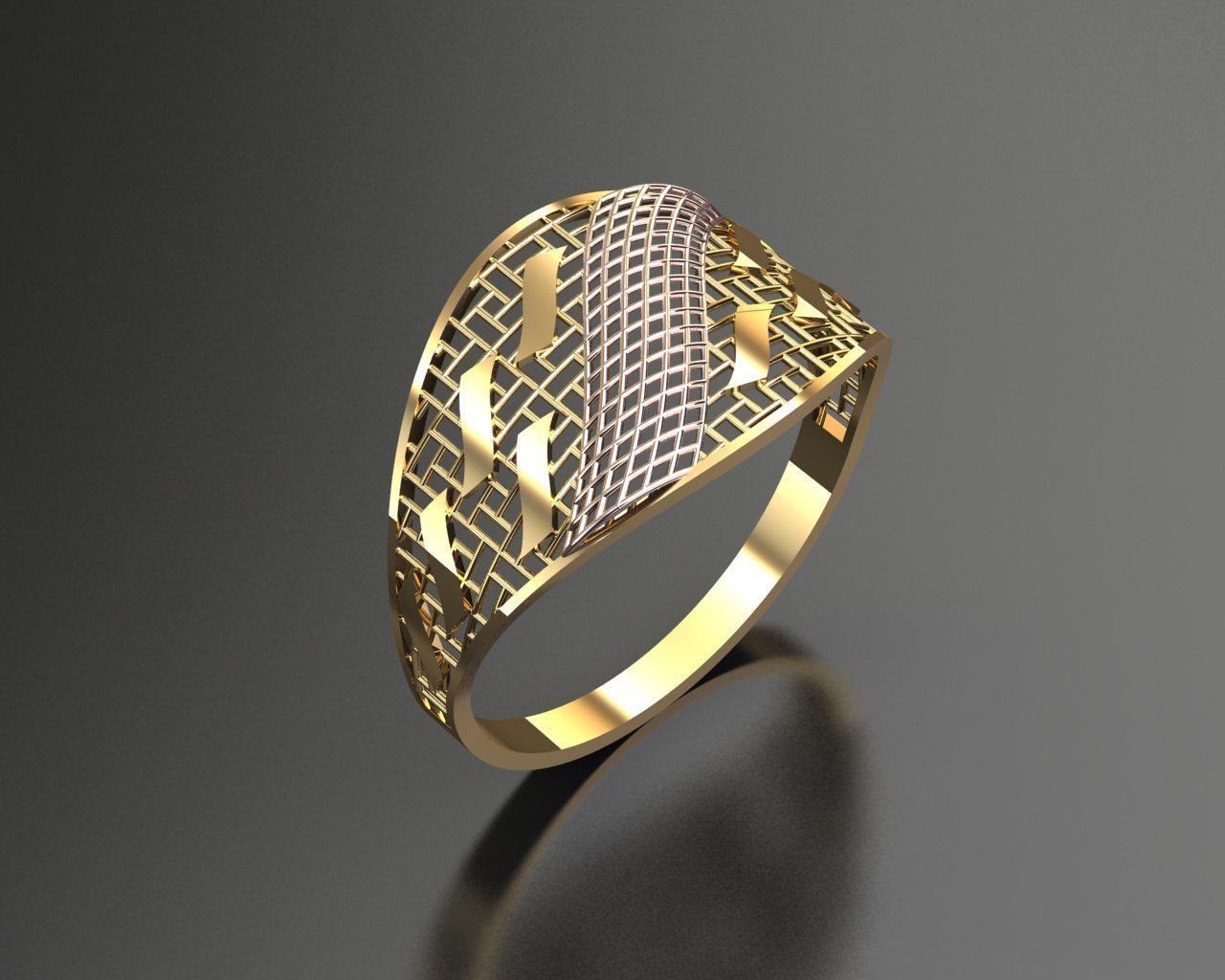 20 FUSION RING MODELS  3D print model_14