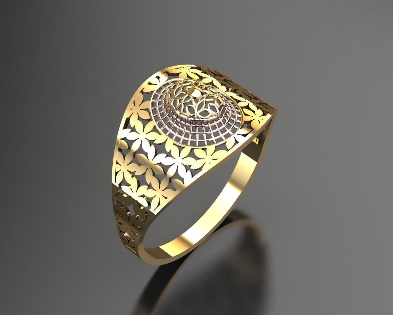 20 FUSION RING MODELS  3D print model_19