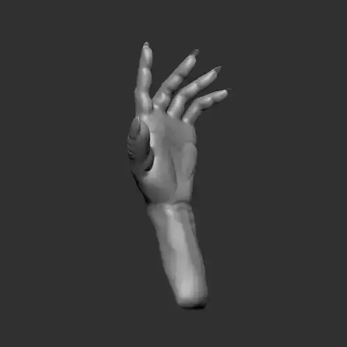 Human hand