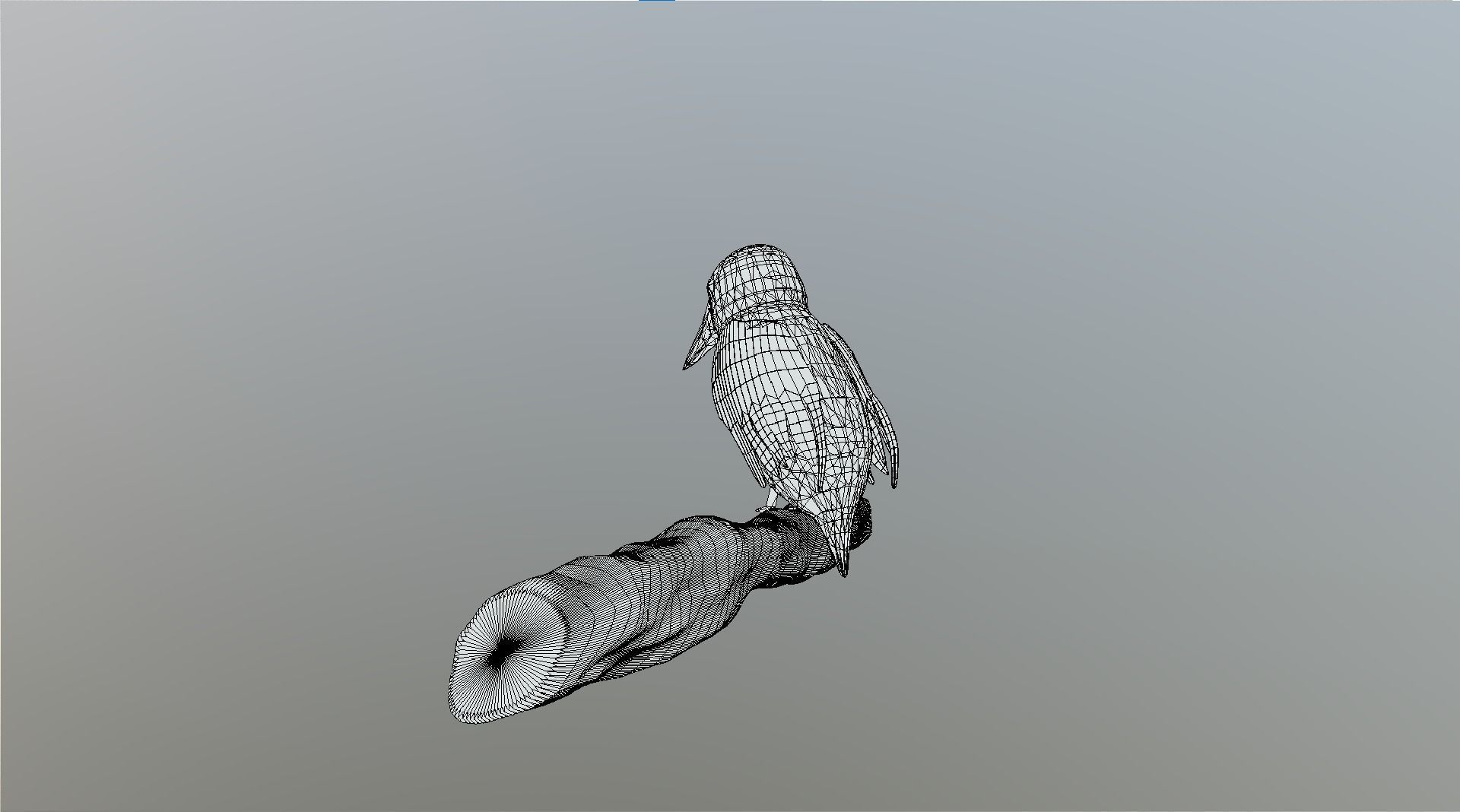 Kingfisher Bird Low-poly 3D model_7