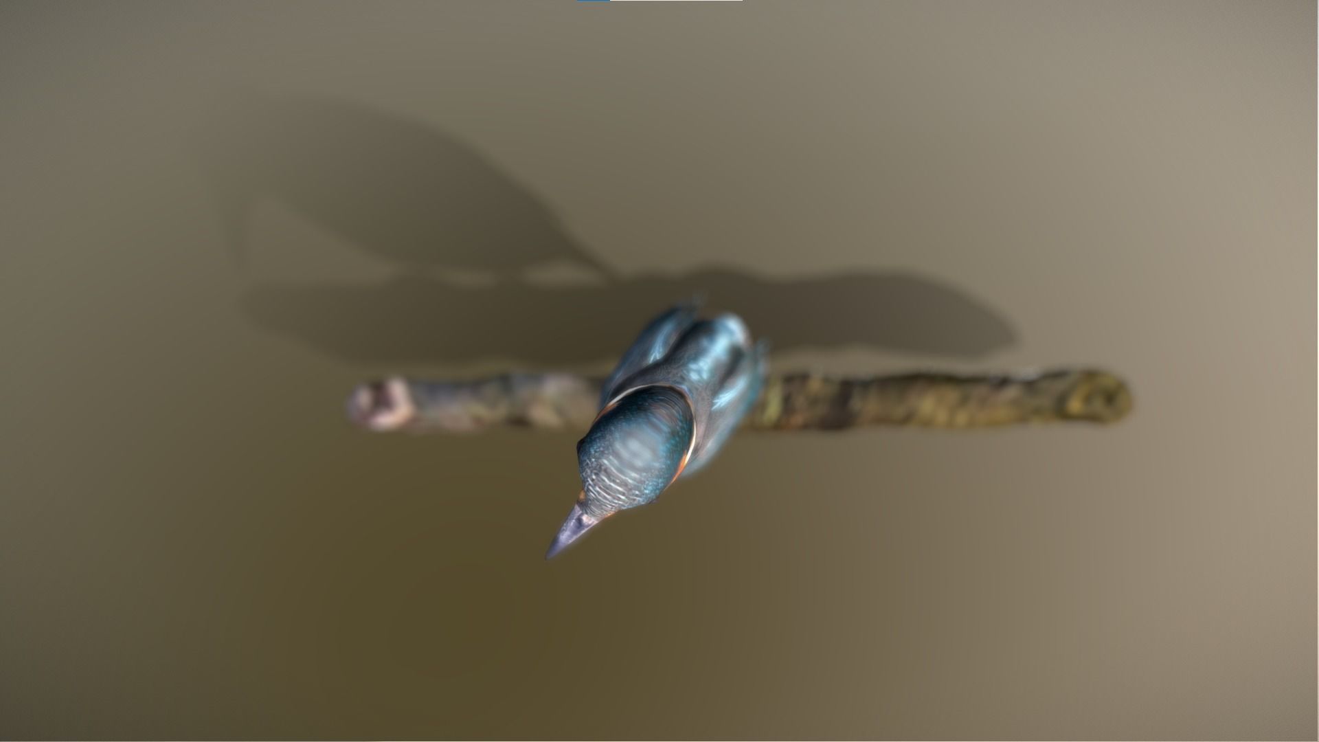 Kingfisher Bird Low-poly 3D model_3