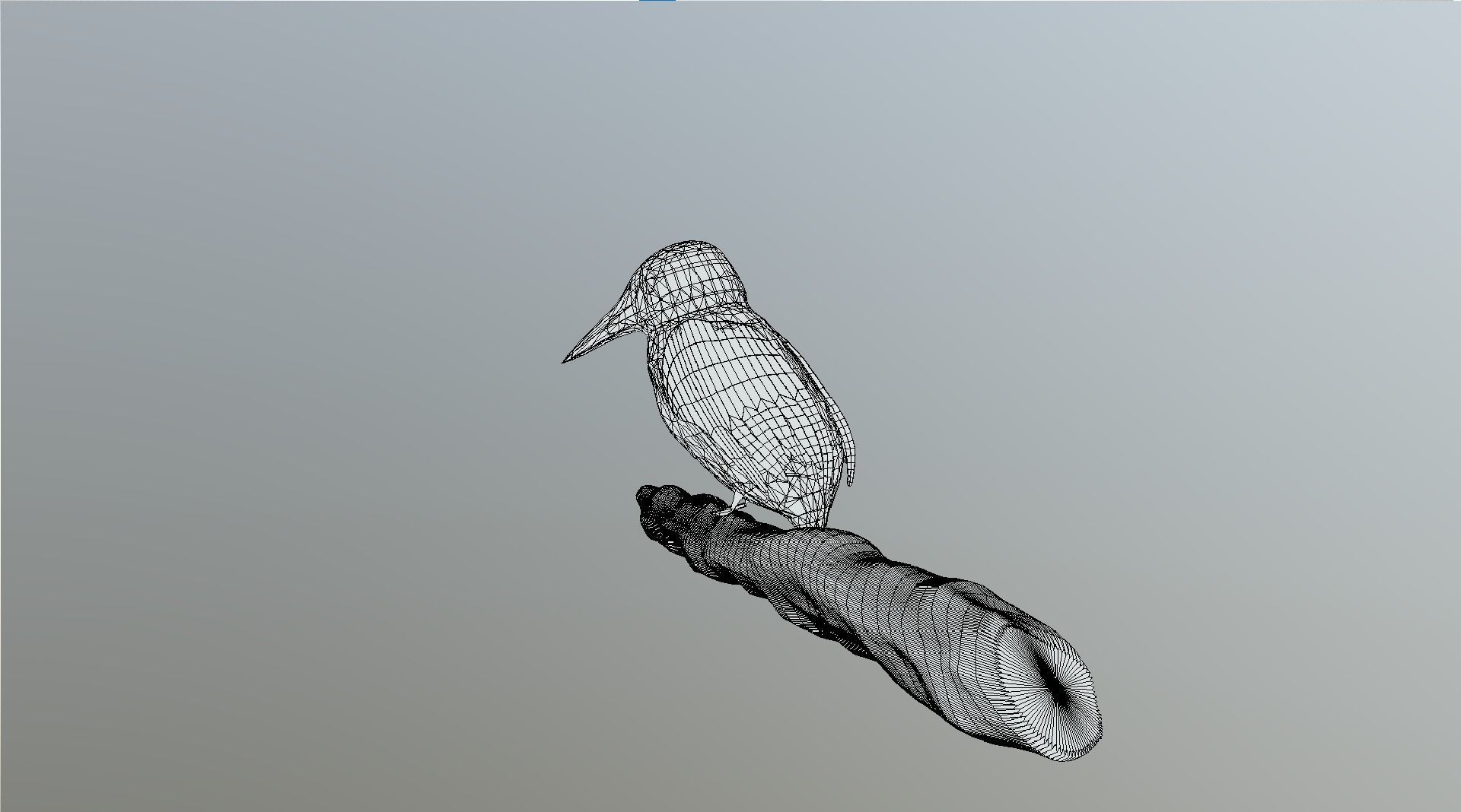 Kingfisher Bird Low-poly 3D model_8